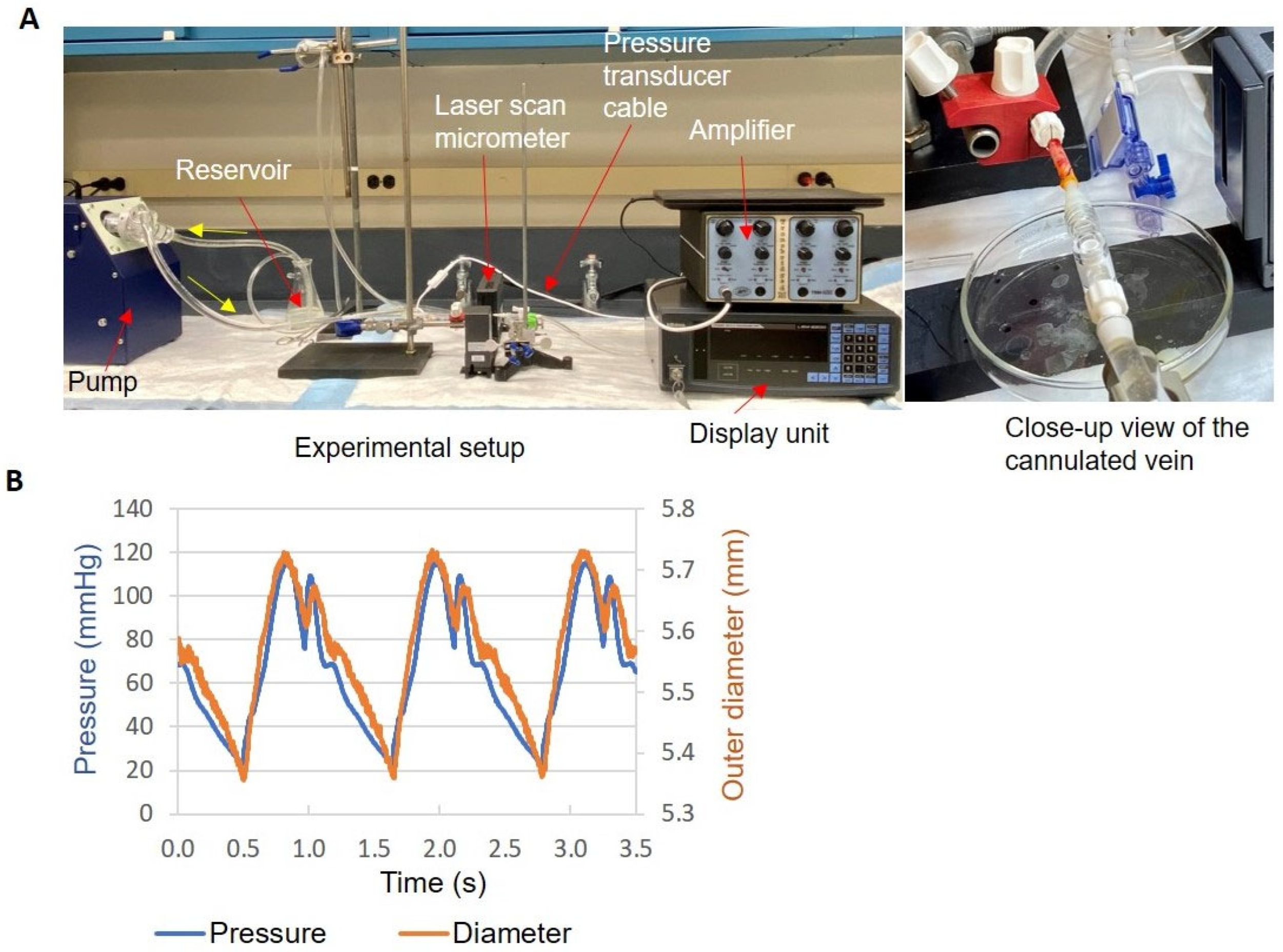 Ijms 24 07571 g007 Ijms 24 07571 g007