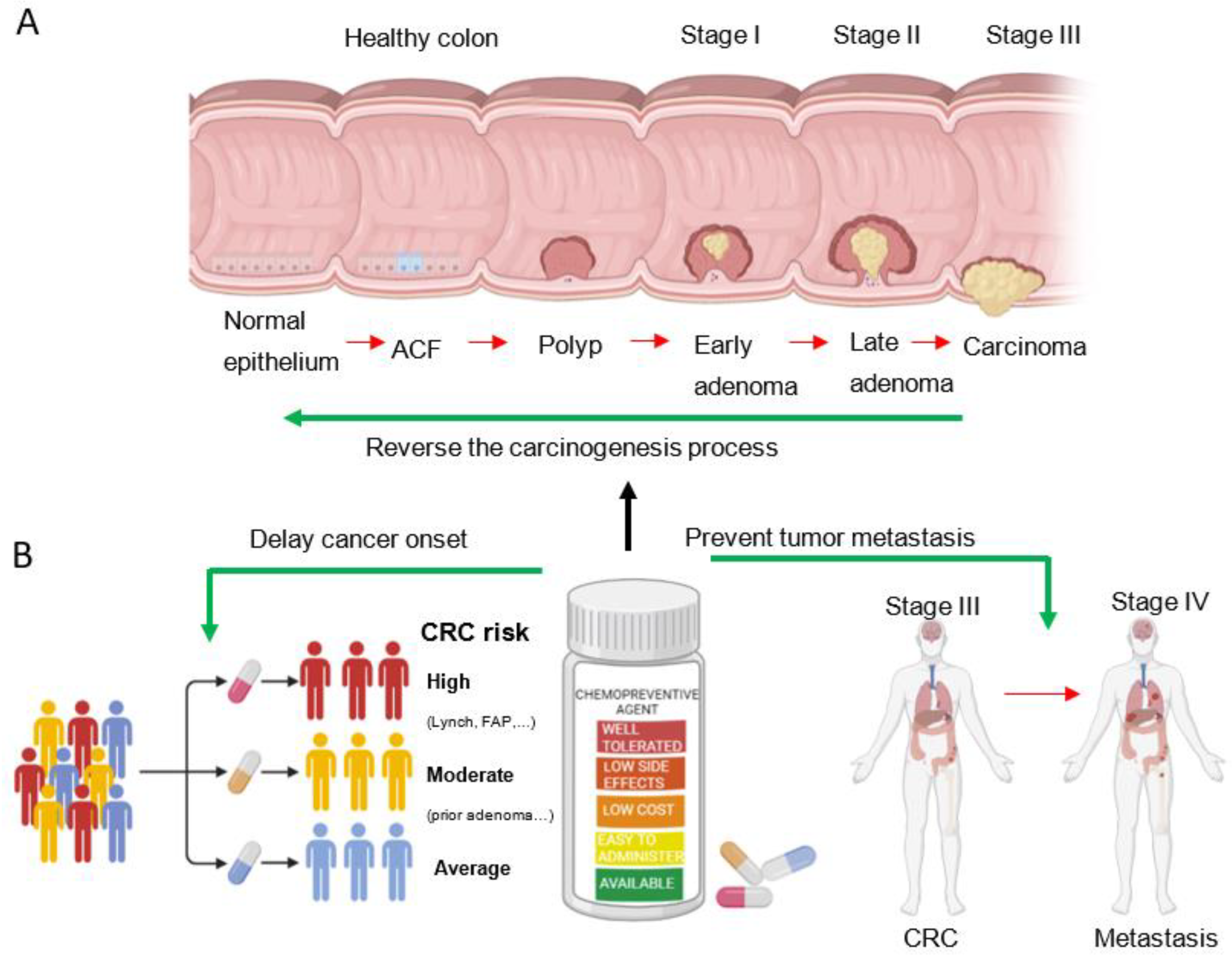 IJMS | Free Full-Text | Colorectal Cancer Chemoprevention: A Dream Coming  True?