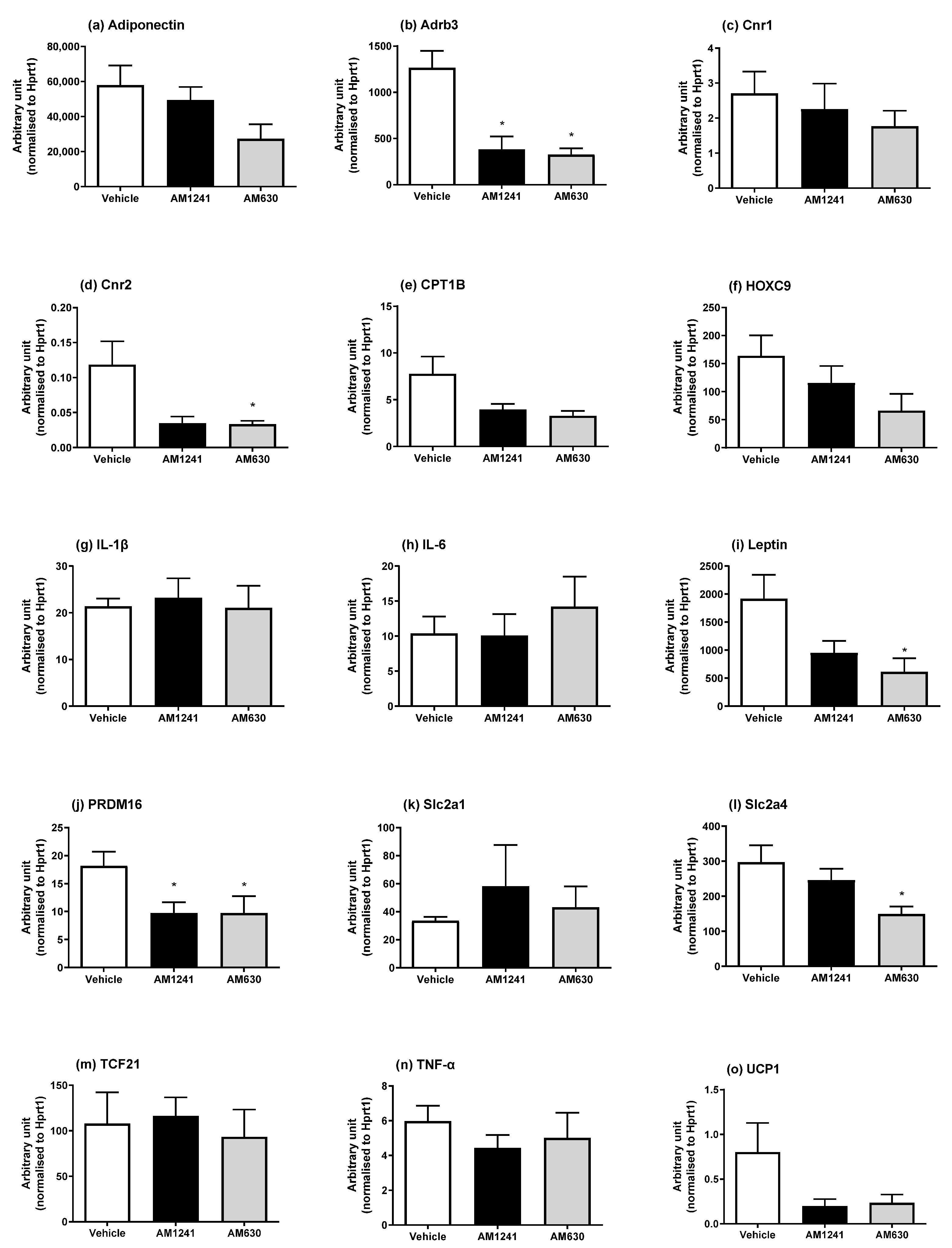 Ijms 24 07601 g002 Ijms 24 07601 g002