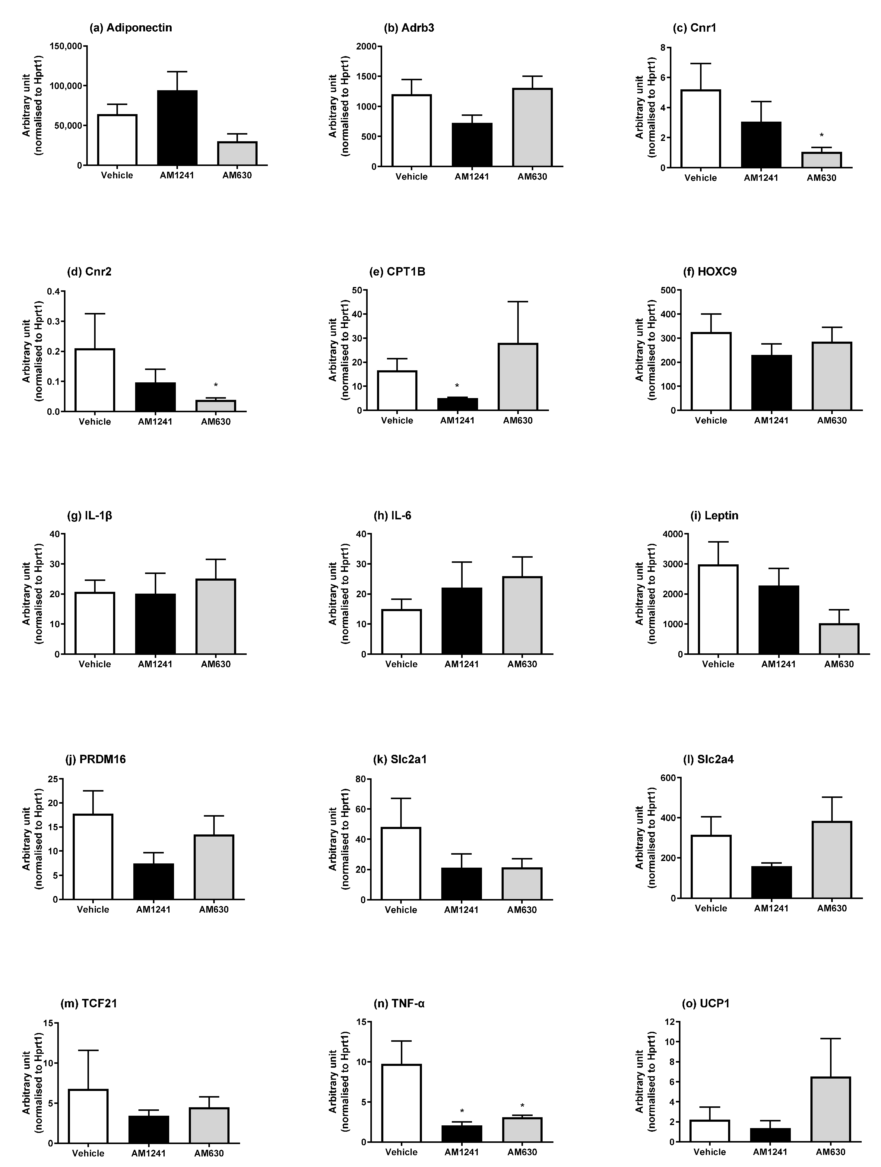 Ijms 24 07601 g003 Ijms 24 07601 g003