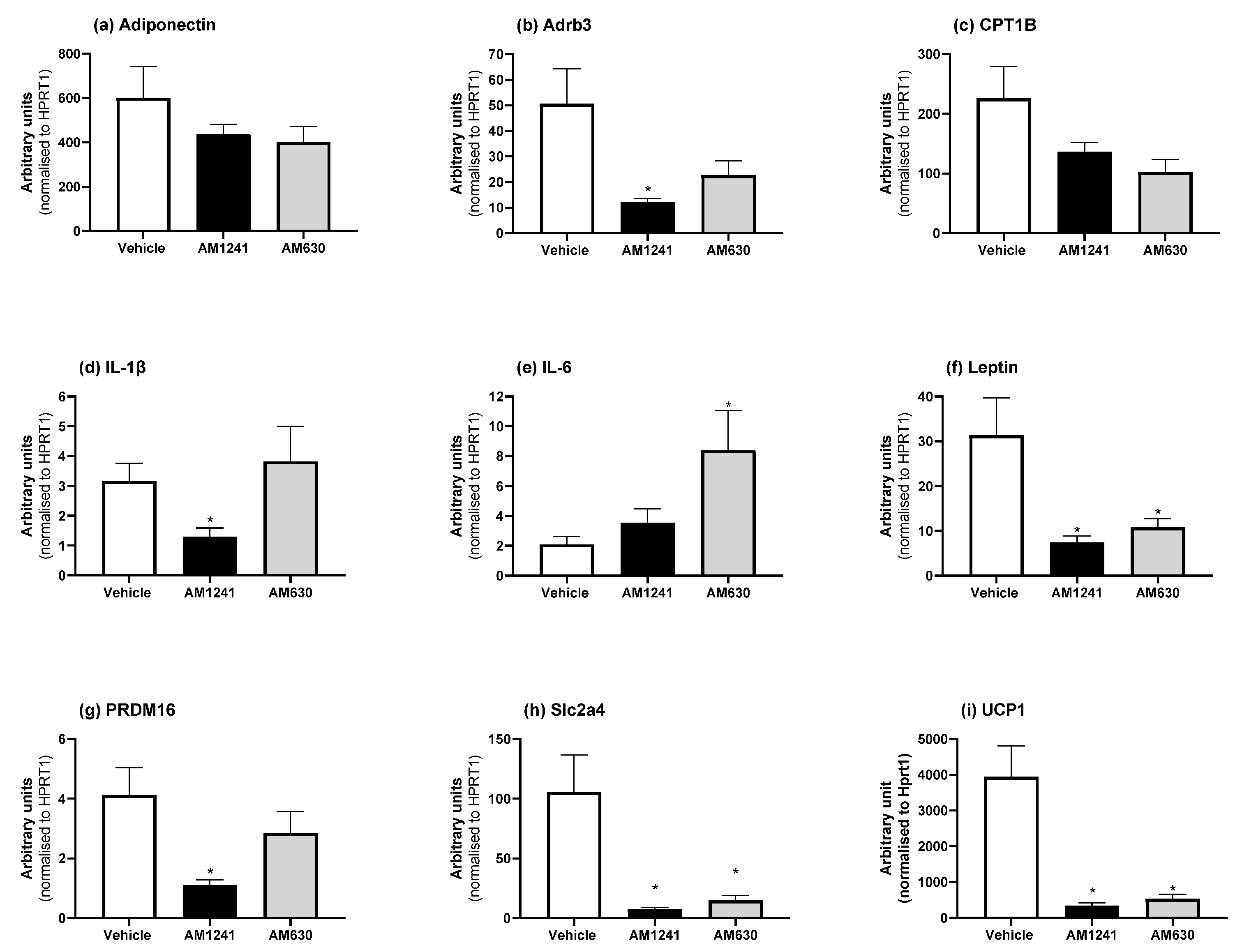 Ijms 24 07601 g004 Ijms 24 07601 g004