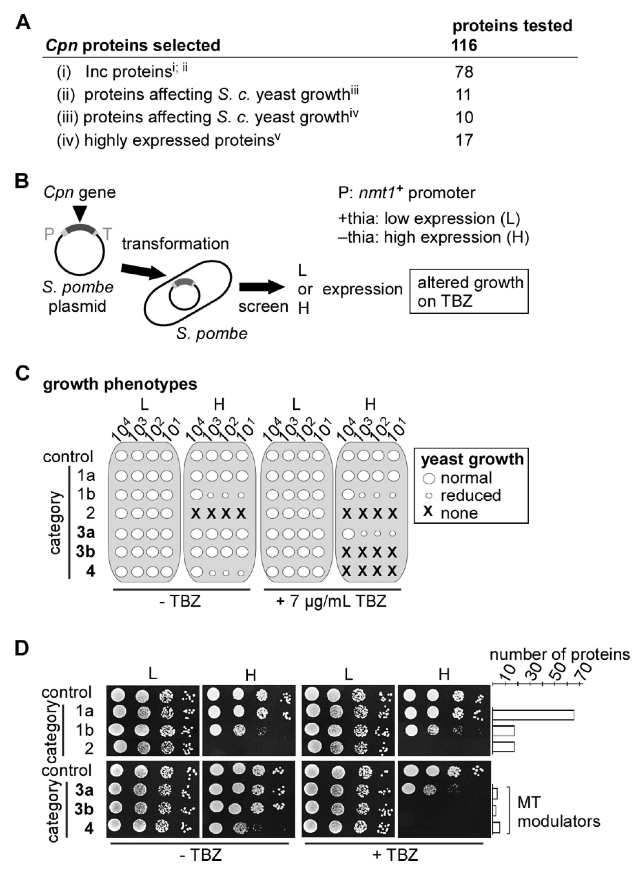 Ijms 24 07618 g002 Ijms 24 07618 g002