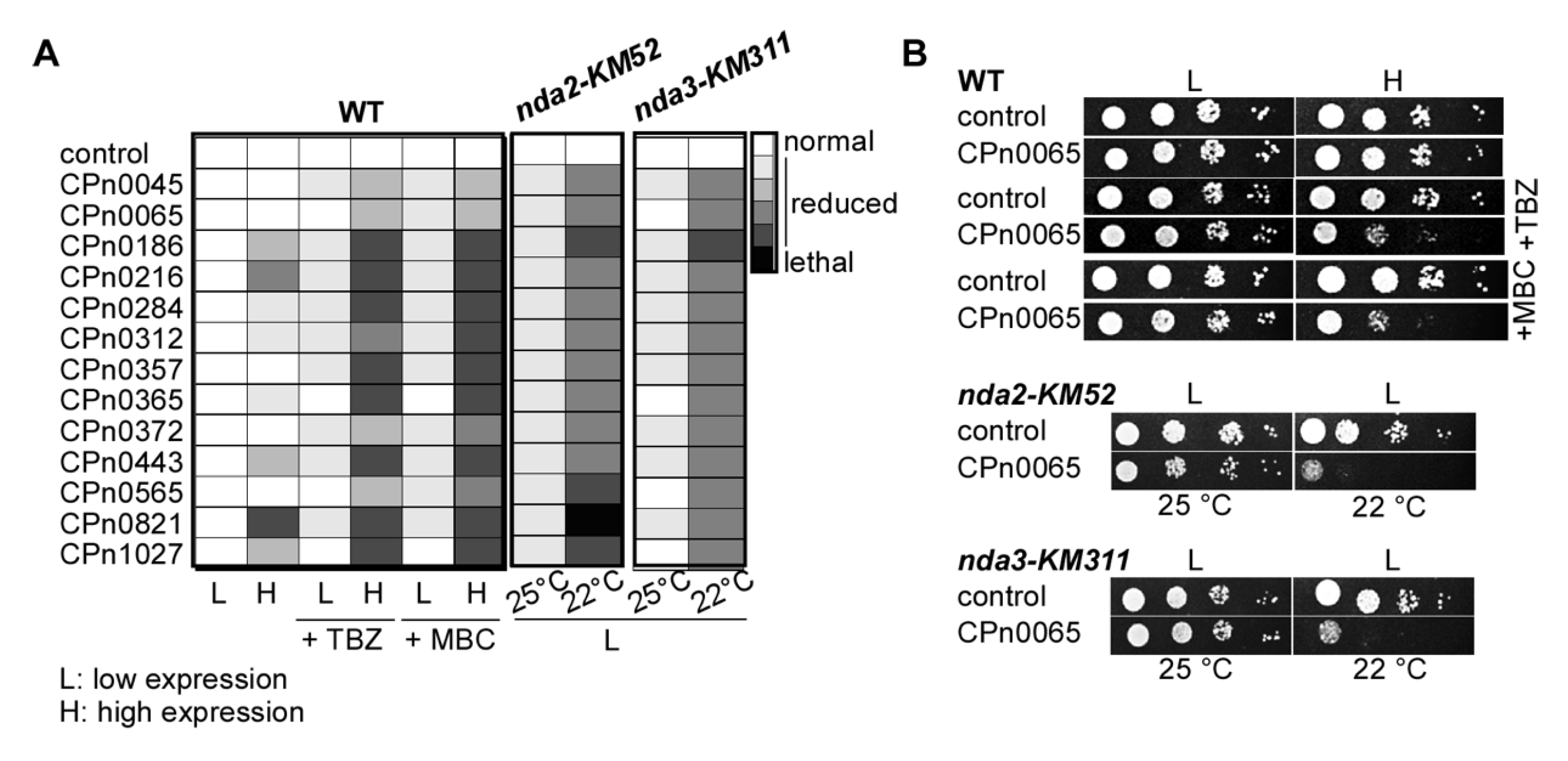 Ijms 24 07618 g003 Ijms 24 07618 g003