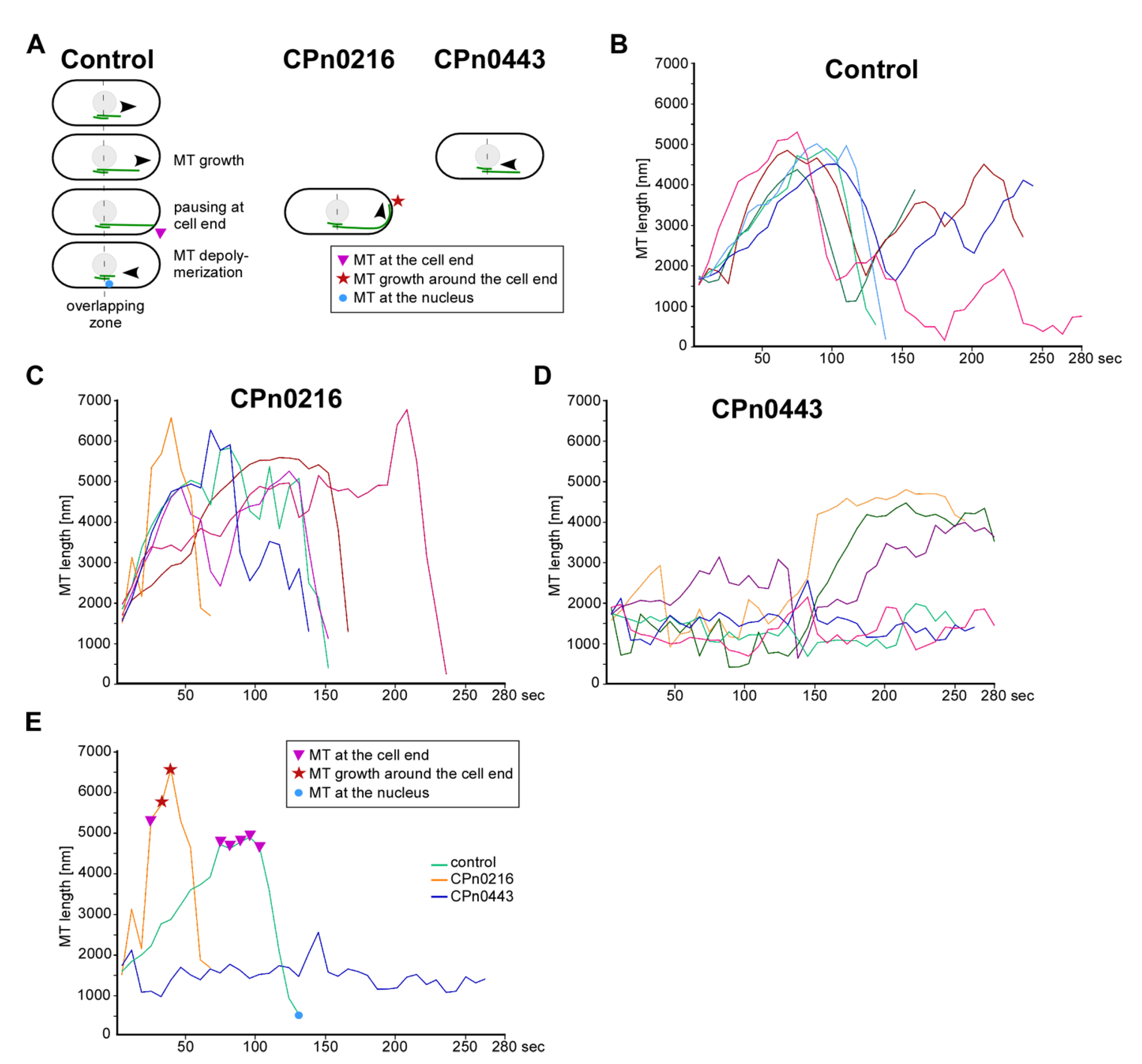 Ijms 24 07618 g005 Ijms 24 07618 g005