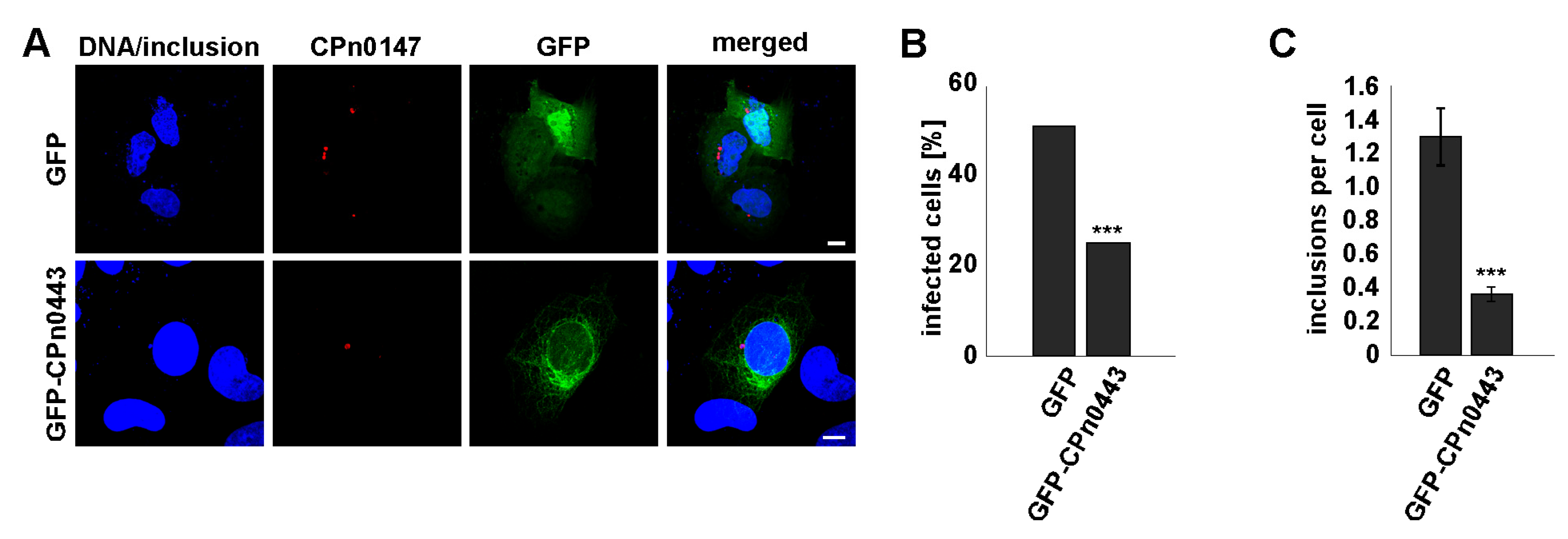 Ijms 24 07618 g008 Ijms 24 07618 g008