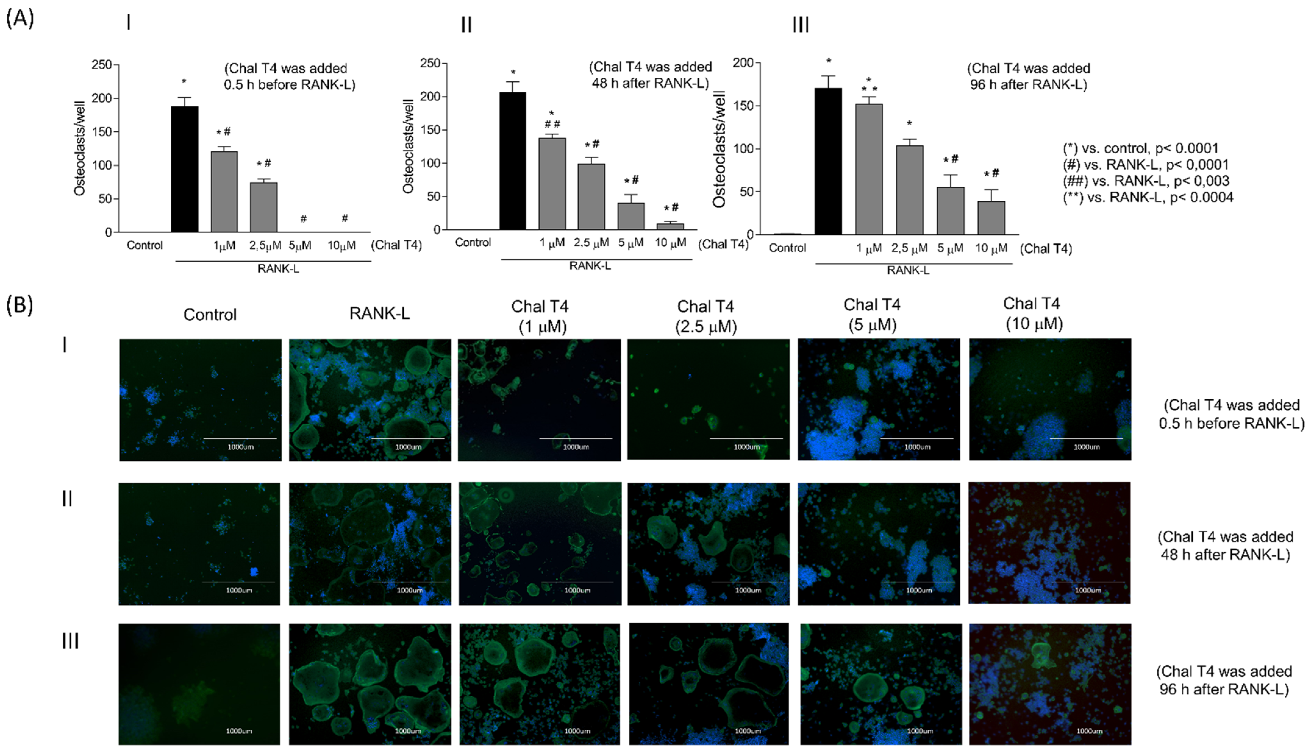 Ijms 24 07624 g001 Ijms 24 07624 g001