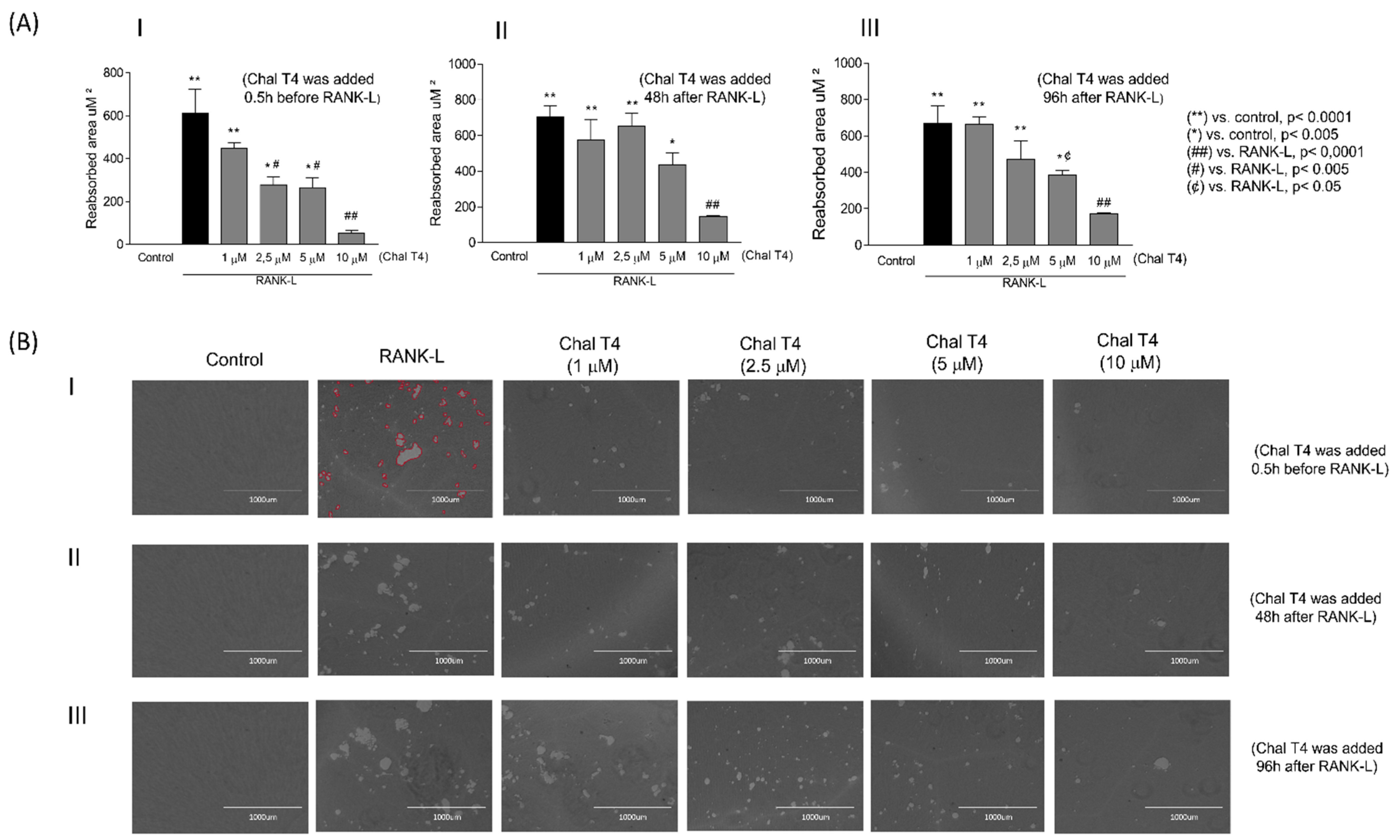 Ijms 24 07624 g002 Ijms 24 07624 g002