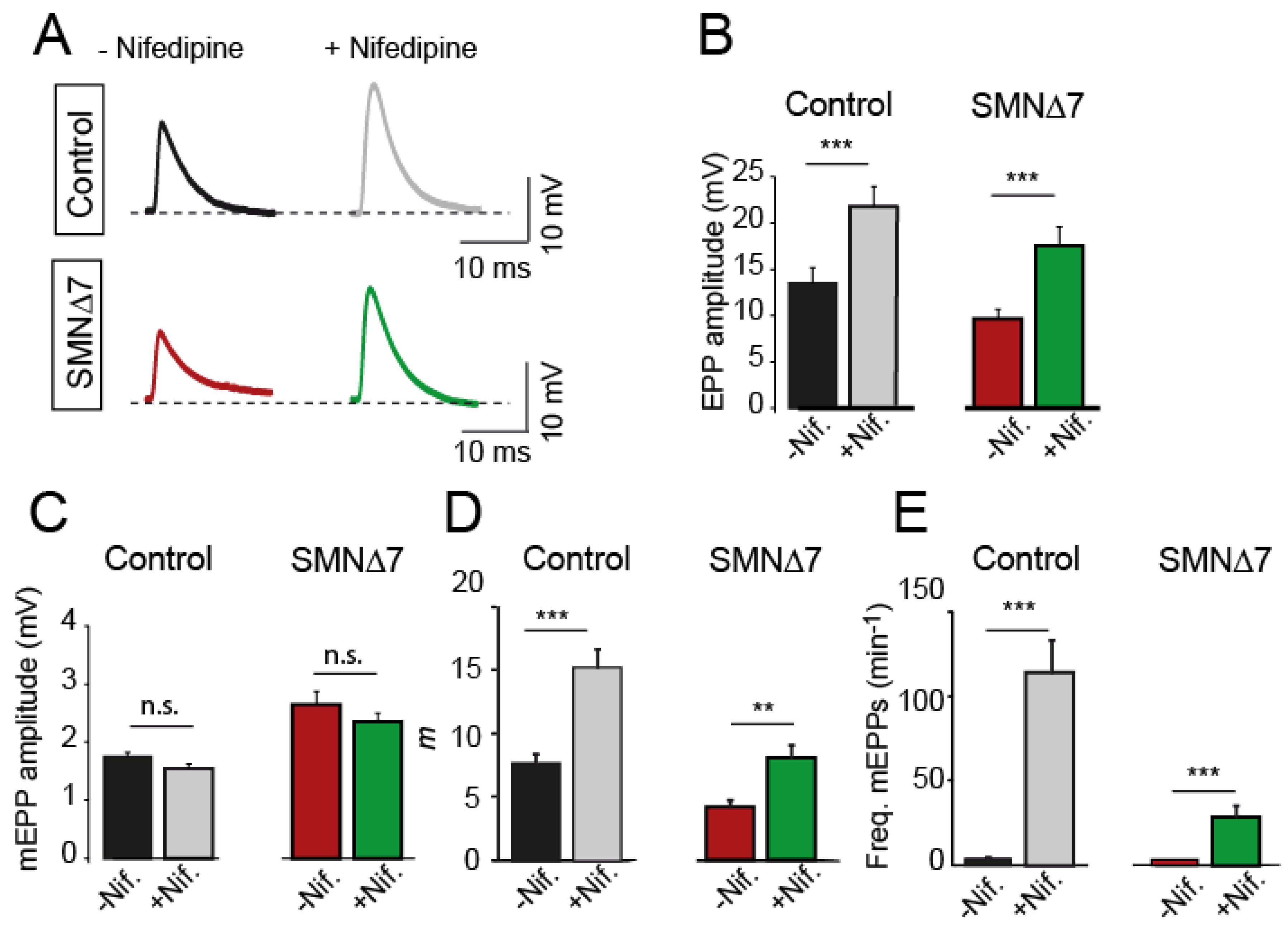 Ijms 24 07648 g002 Ijms 24 07648 g002