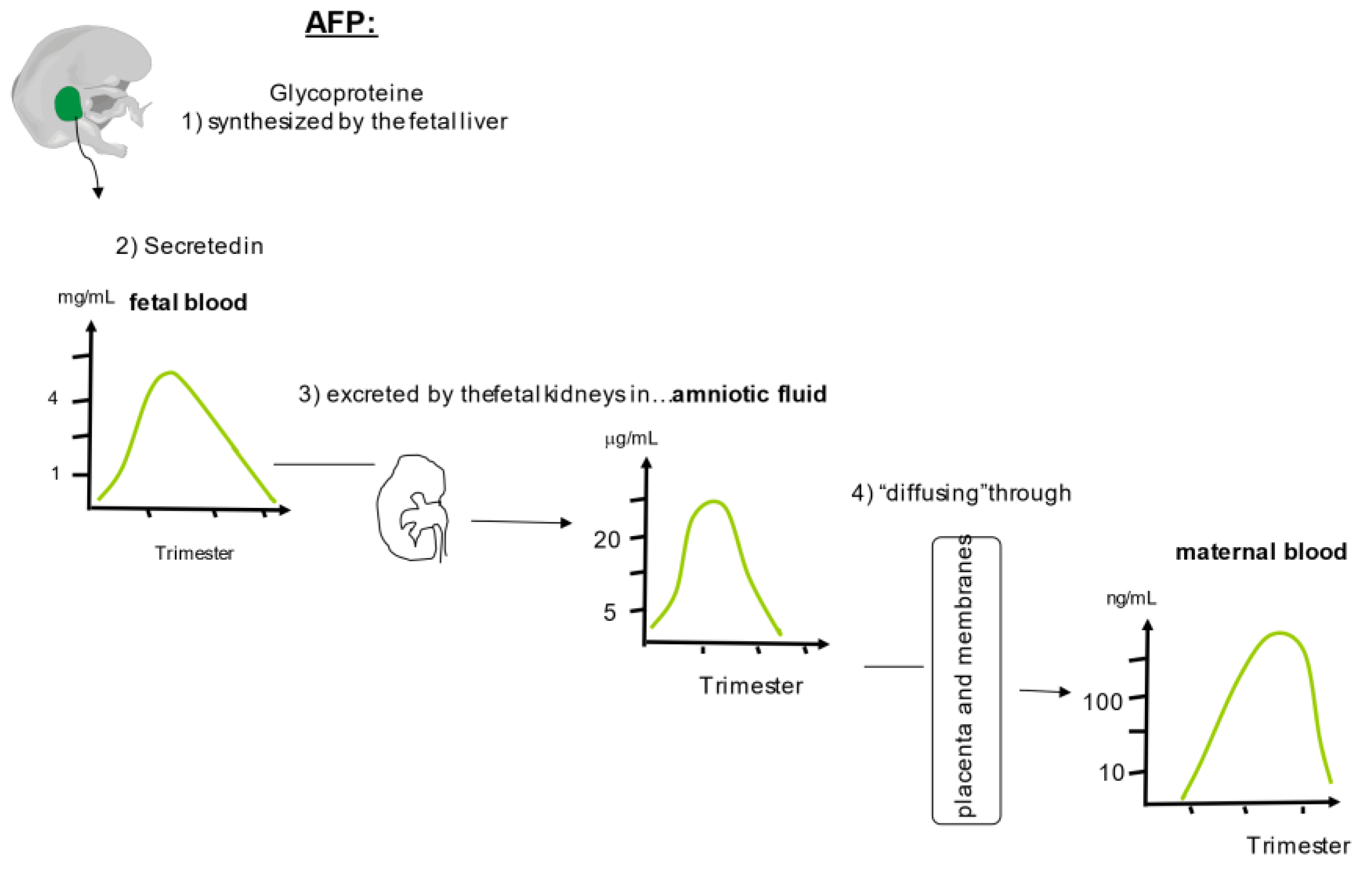 Ijms 24 07669 g004 Ijms 24 07669 g004