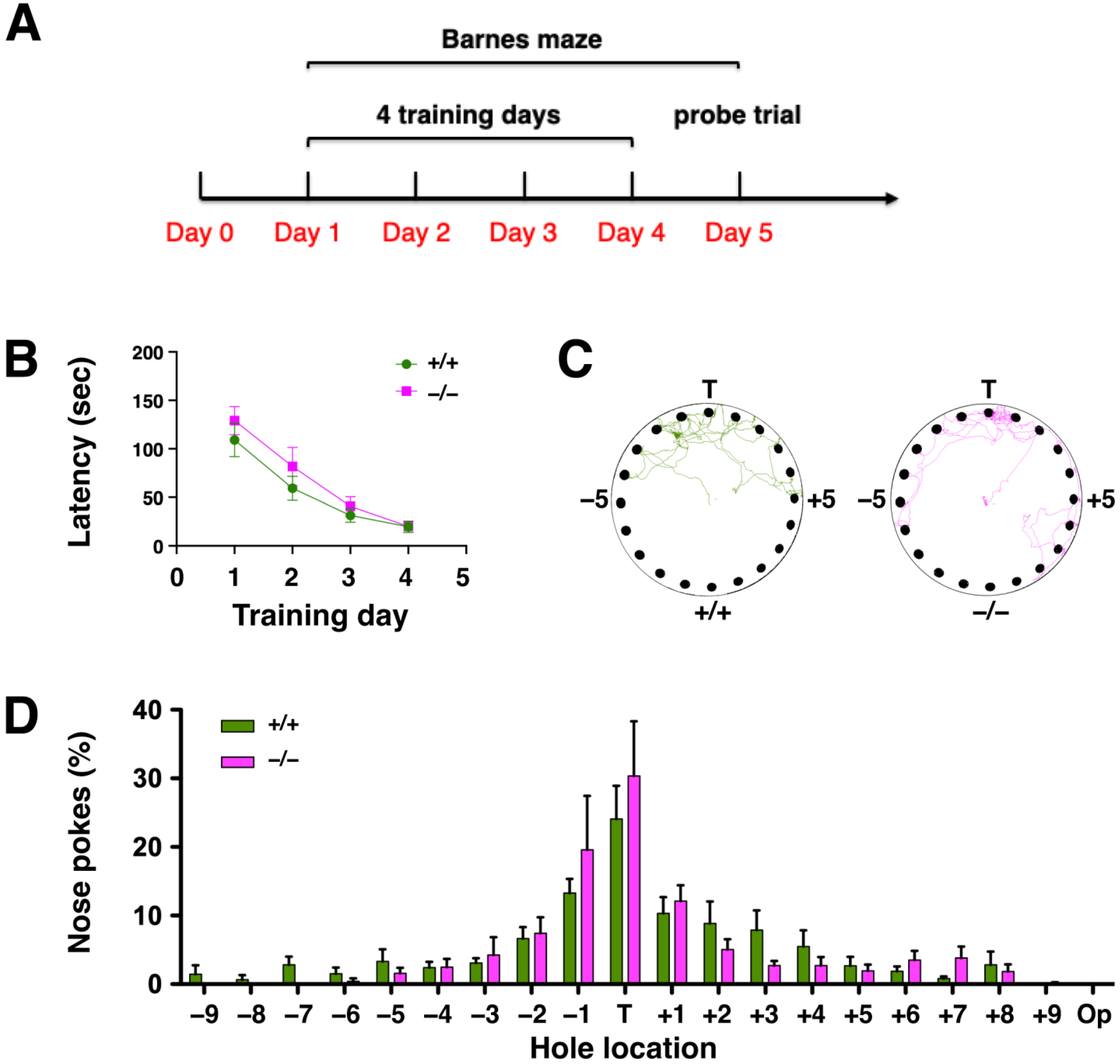 Ijms 24 07690 g003 Ijms 24 07690 g003