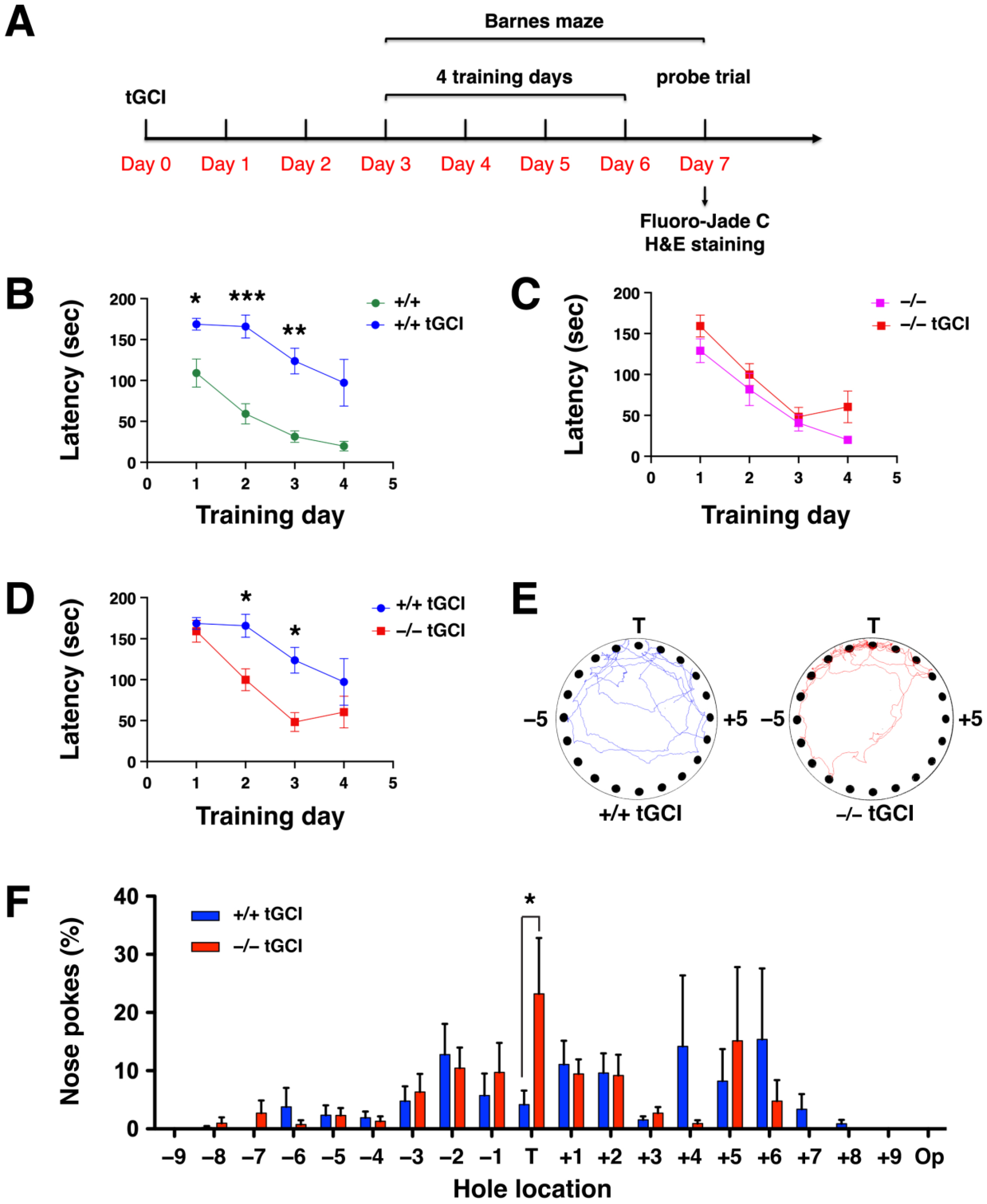 Ijms 24 07690 g004 Ijms 24 07690 g004