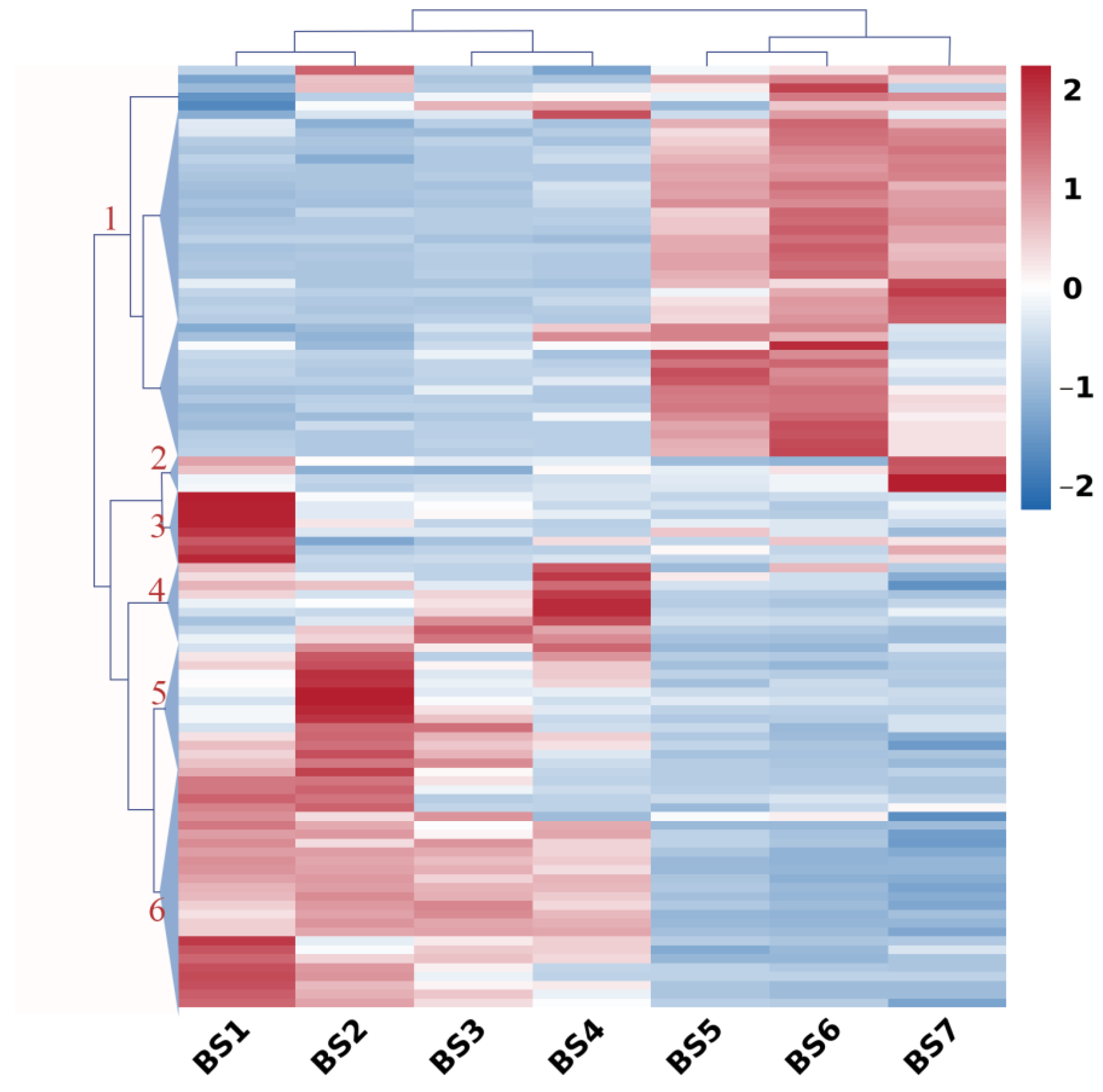 Ijms 24 07691 g004 Ijms 24 07691 g004