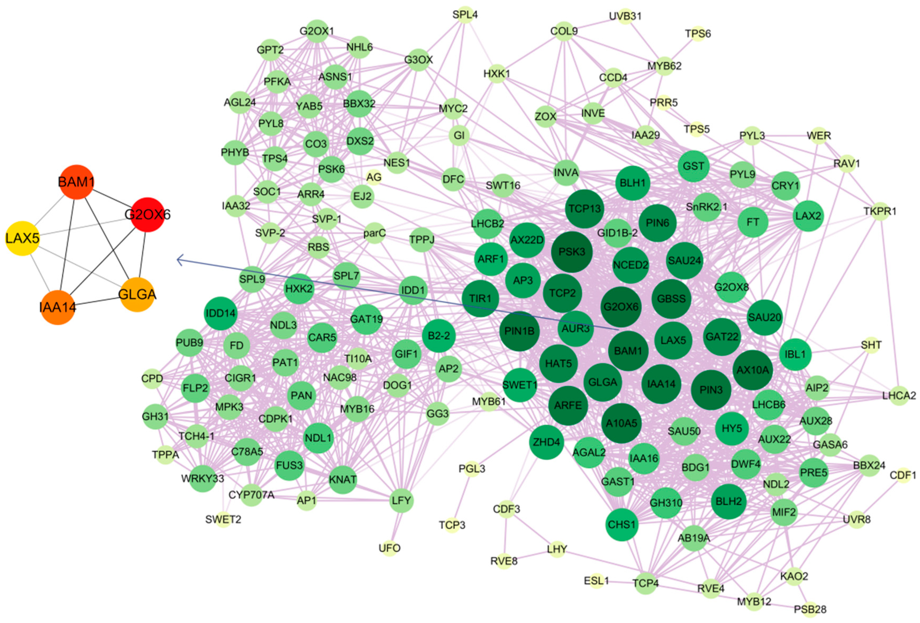 Ijms 24 07691 g006 Ijms 24 07691 g006