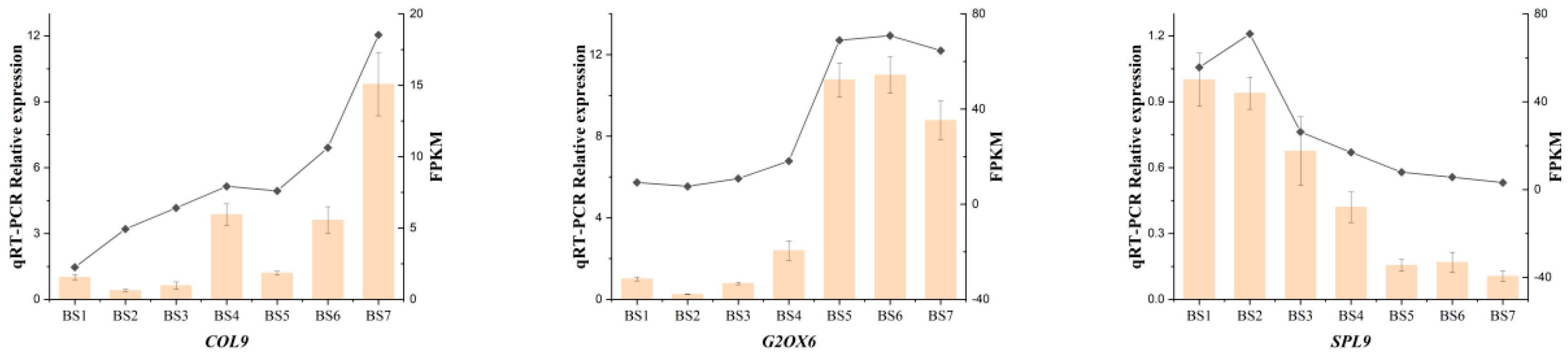 Ijms 24 07691 g007b Ijms 24 07691 g007b