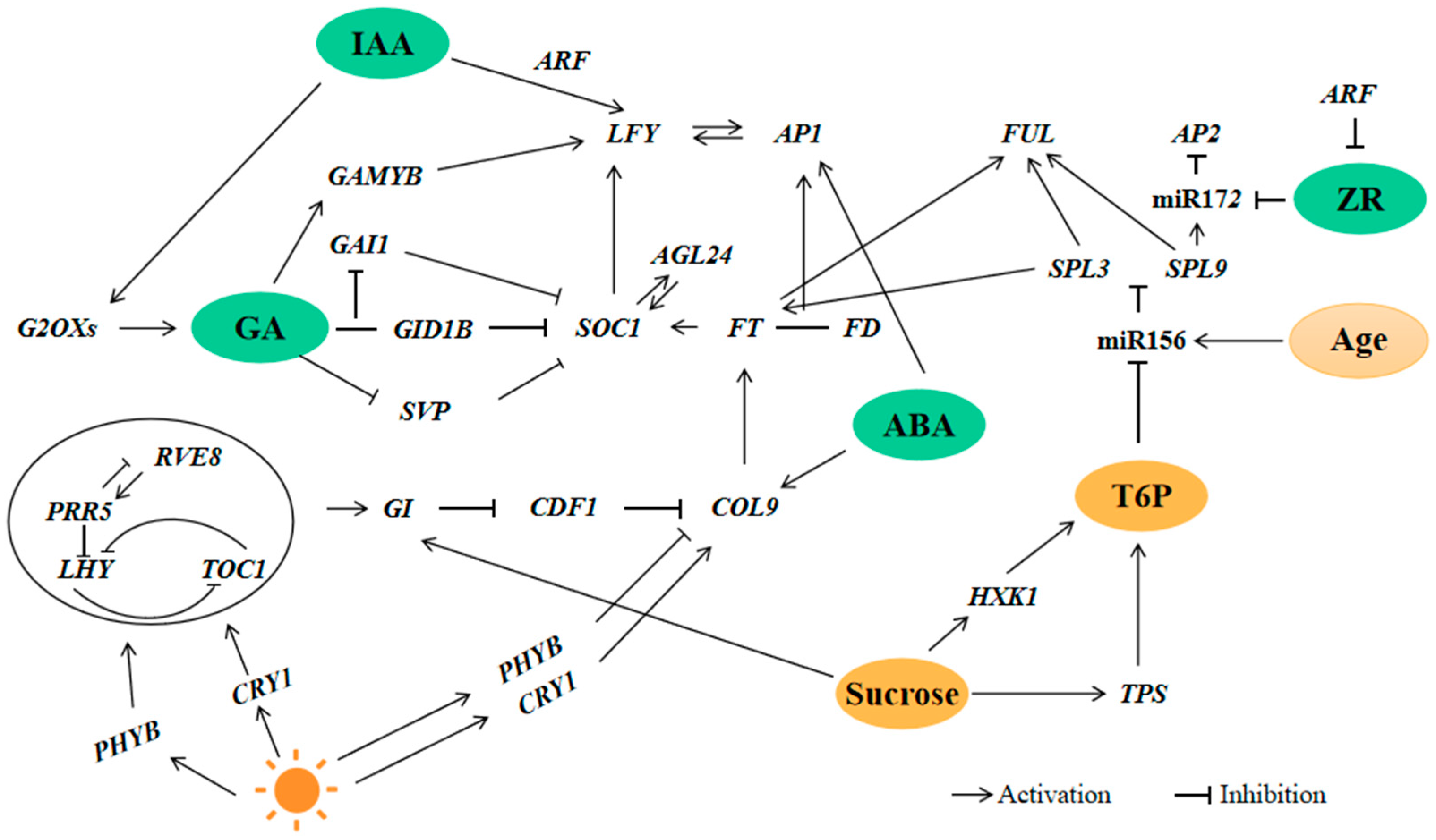 Ijms 24 07691 g008 Ijms 24 07691 g008