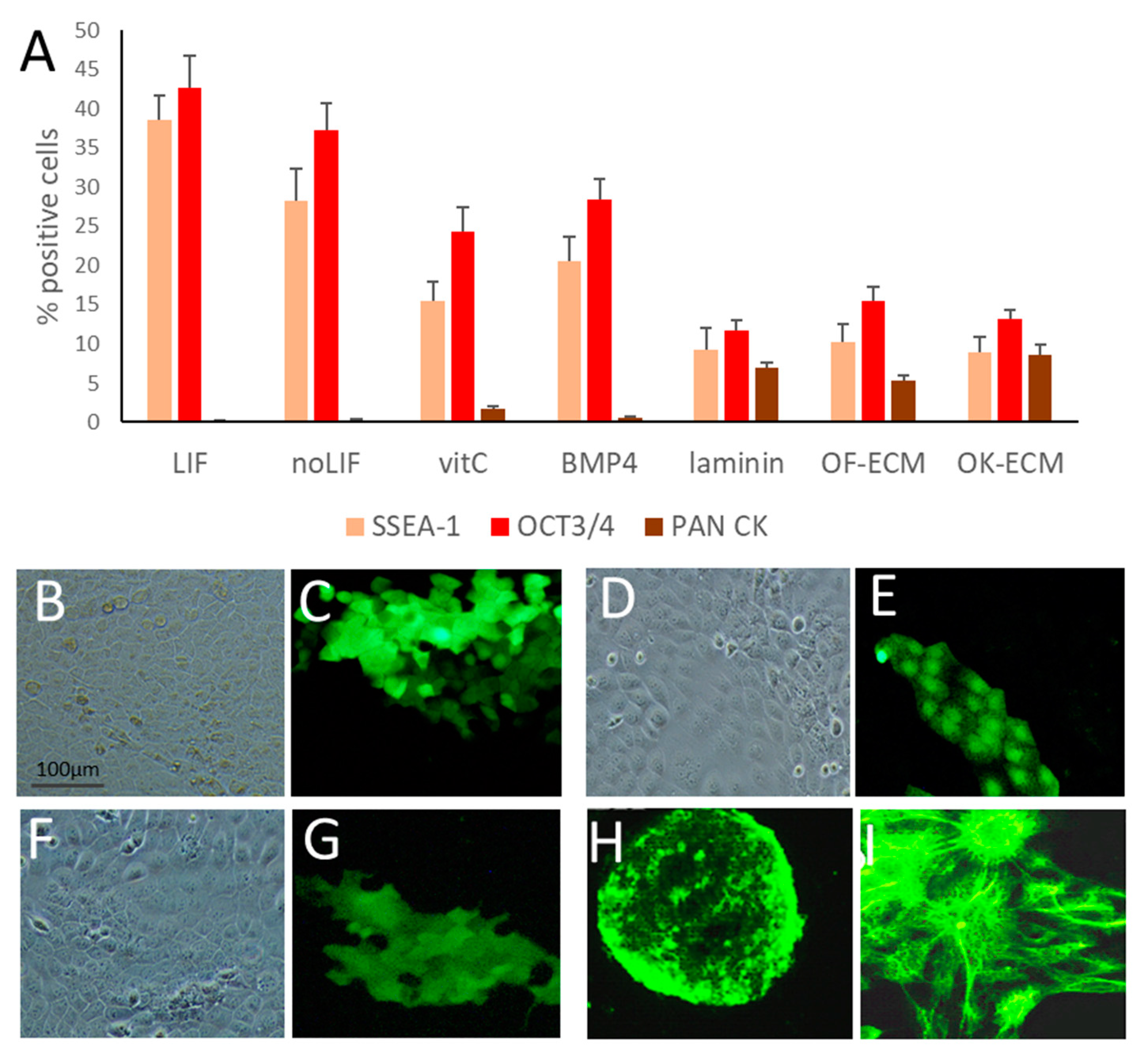 Ijms 24 07694 g002 Ijms 24 07694 g002