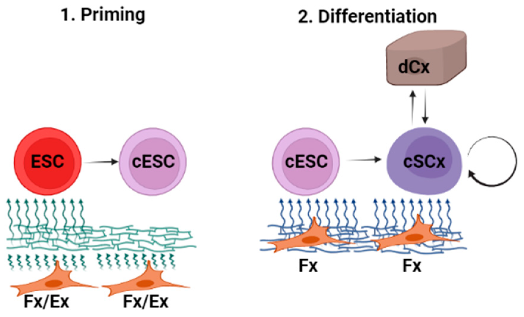 Ijms 24 07694 g0a1 Ijms 24 07694 g0a1