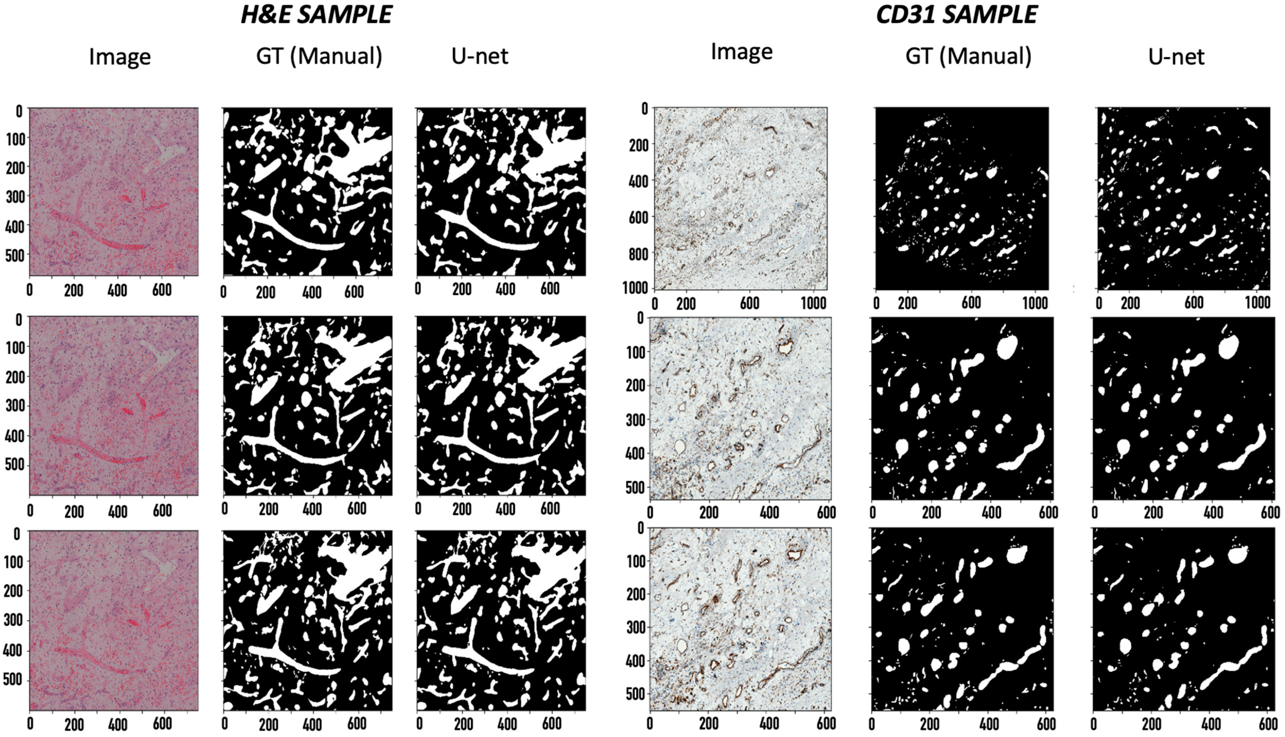 Ijms 24 07714 g001 Ijms 24 07714 g001