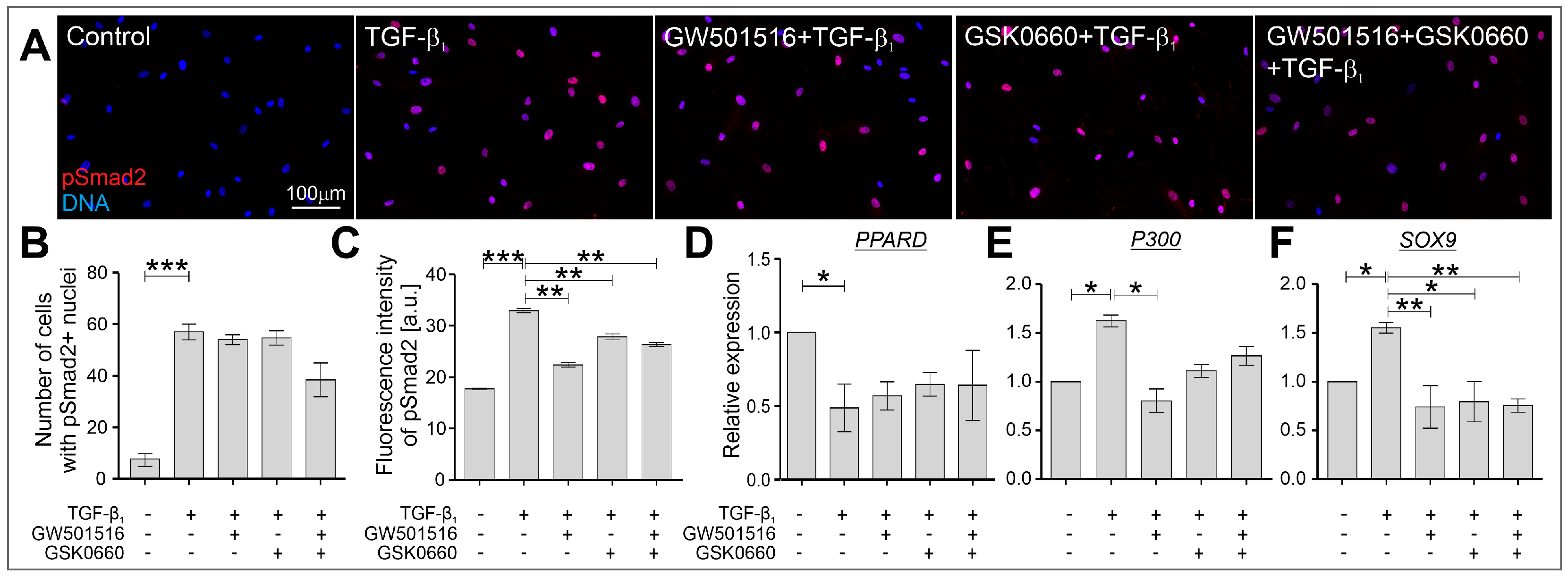 Ijms 24 07721 g005 Ijms 24 07721 g005