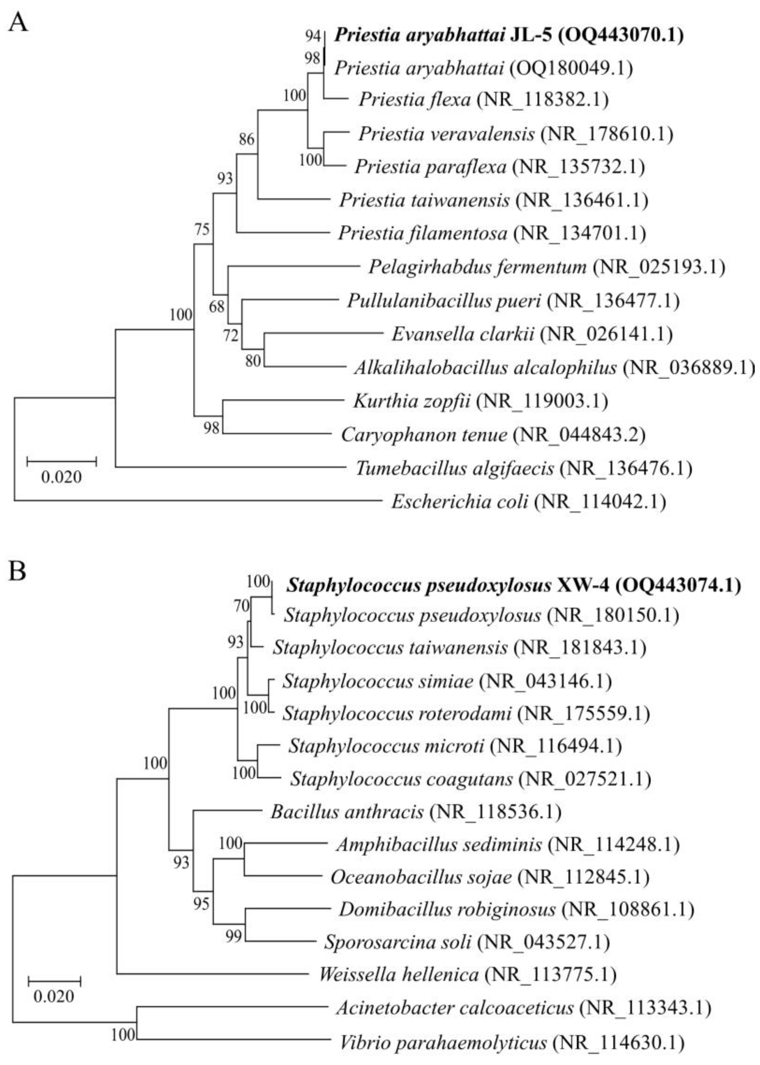 Ijms 24 07737 g001 Ijms 24 07737 g001