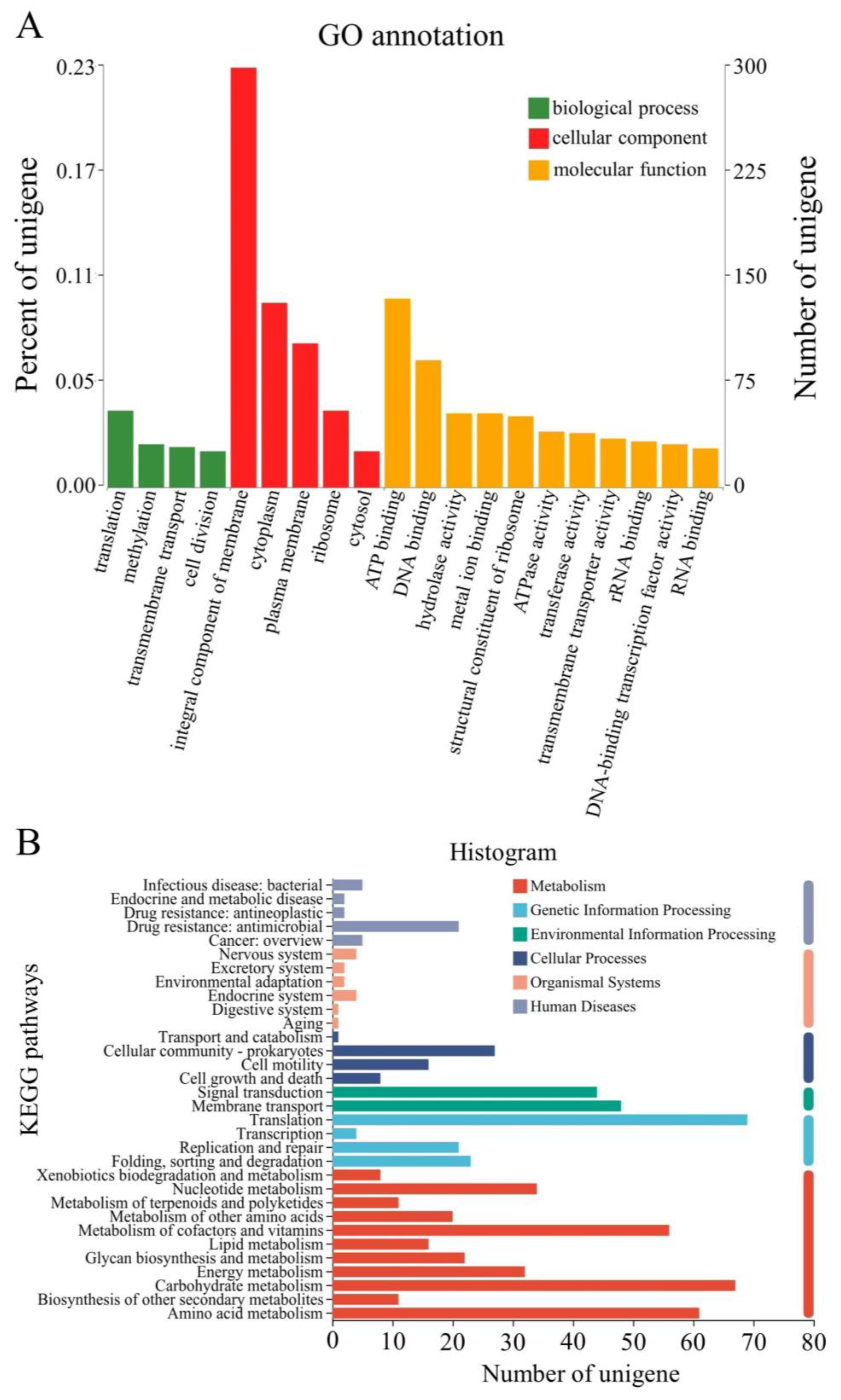 Ijms 24 07737 g004 Ijms 24 07737 g004