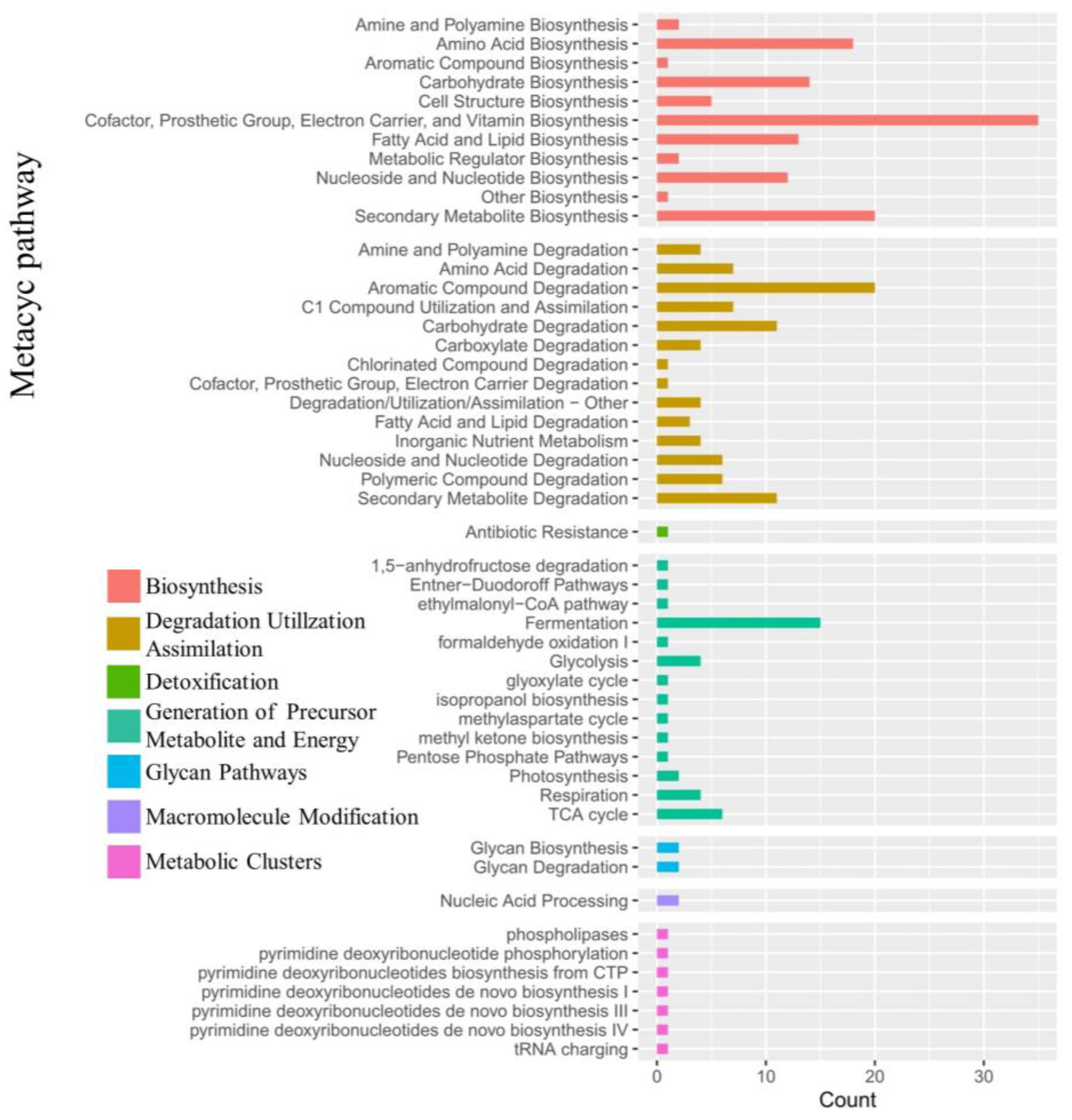 Ijms 24 07737 g014 Ijms 24 07737 g014
