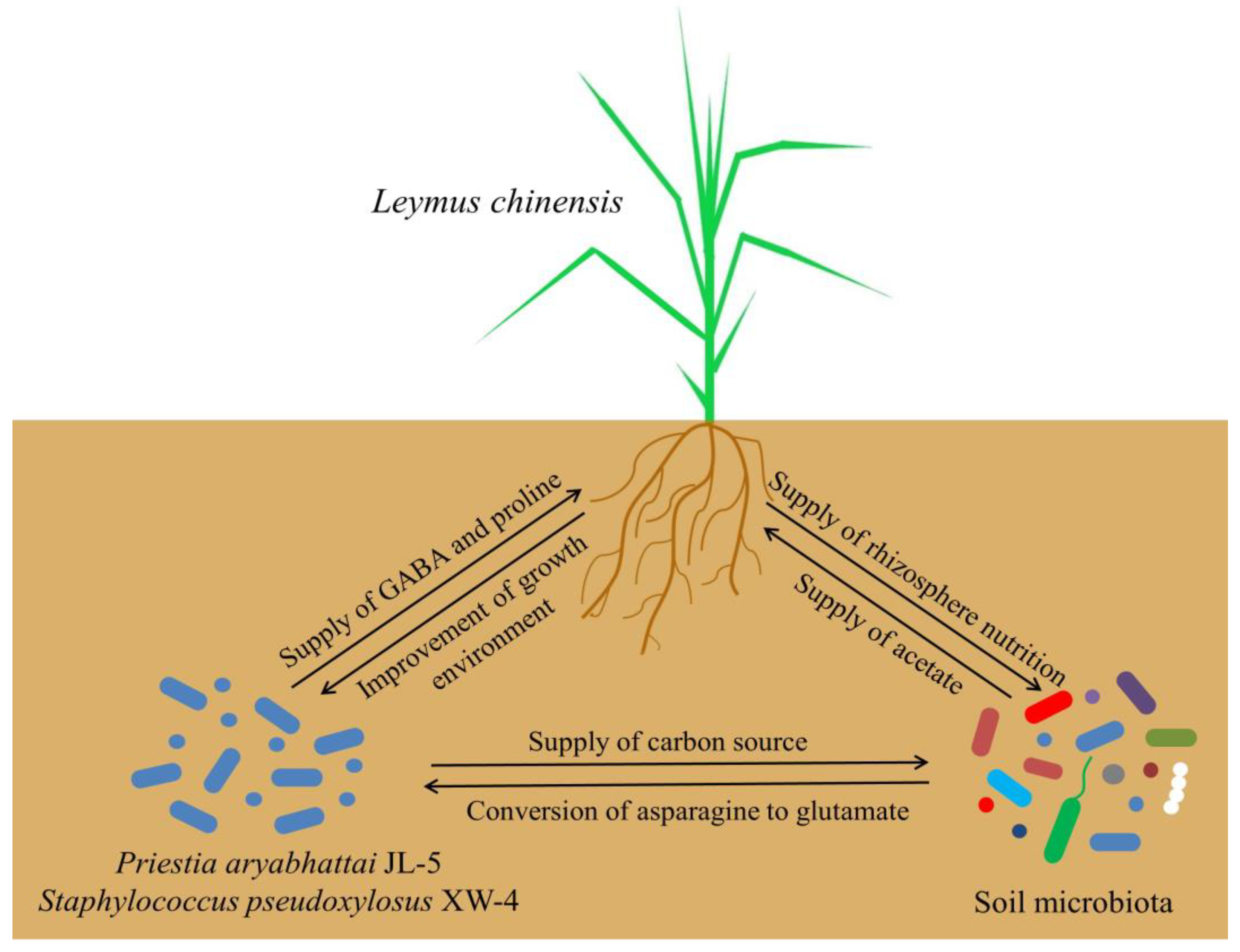 Ijms 24 07737 g017 Ijms 24 07737 g017