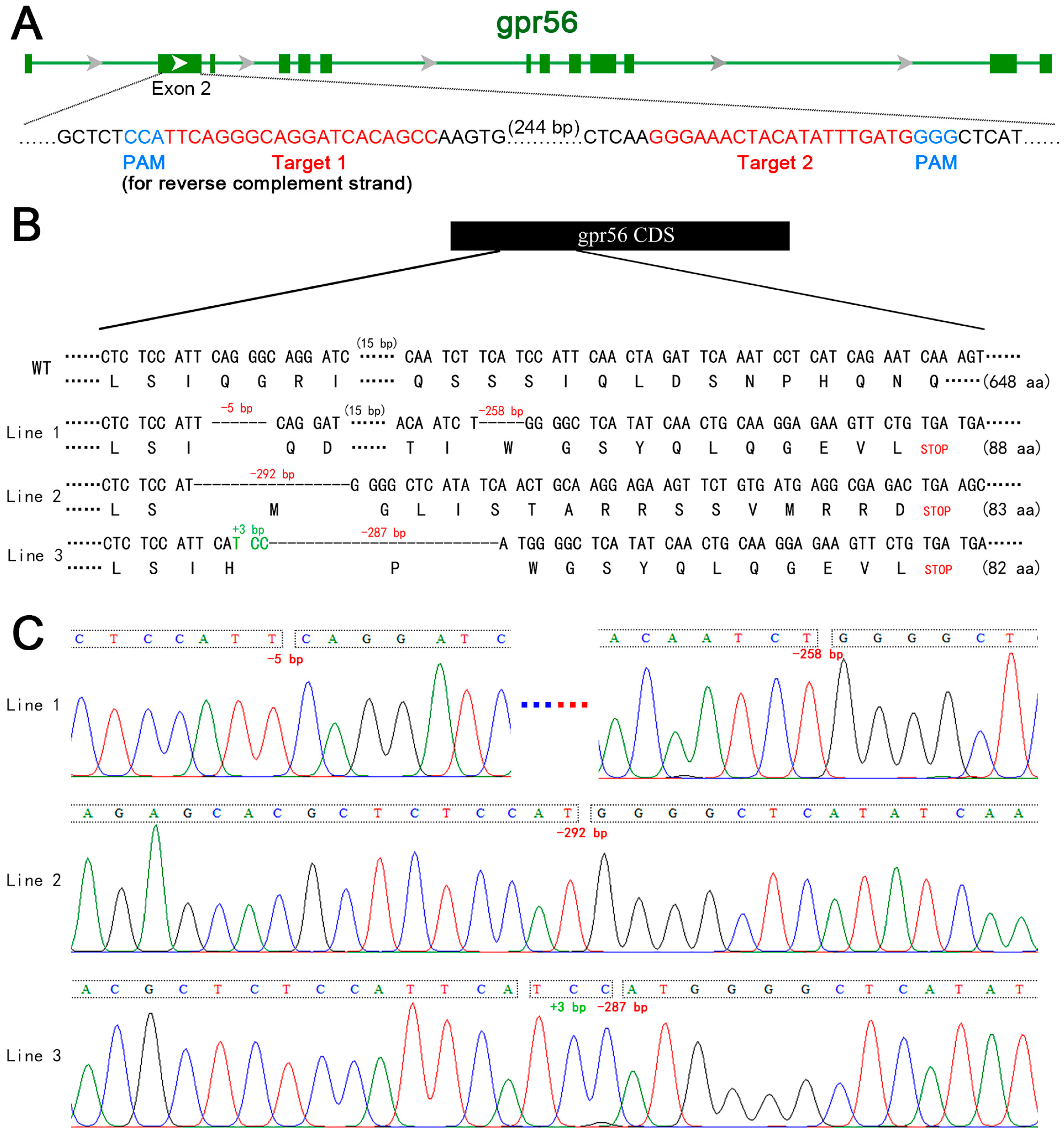 Ijms 24 07740 g001 Ijms 24 07740 g001