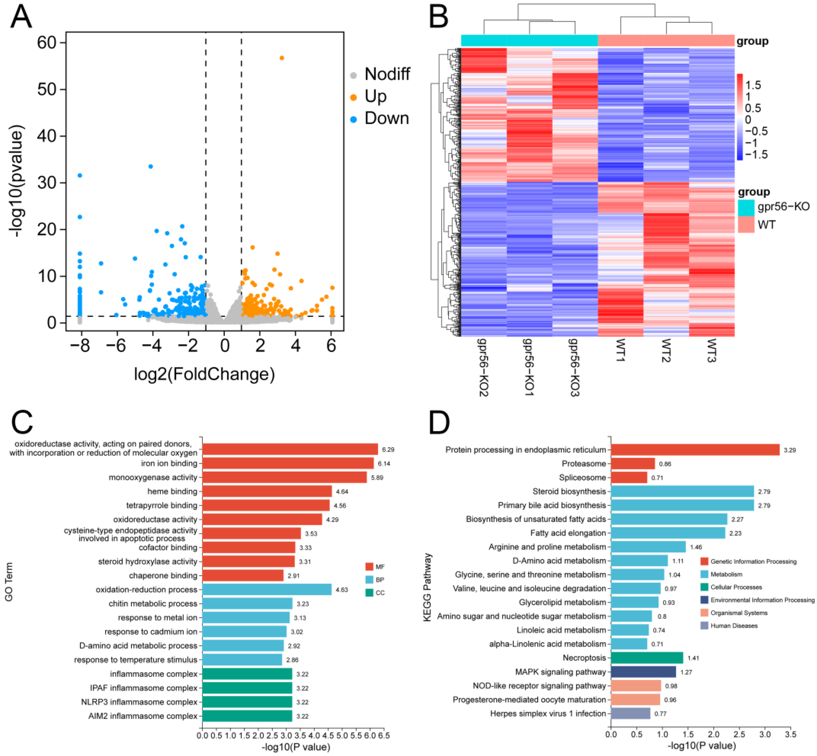 Ijms 24 07740 g002 Ijms 24 07740 g002