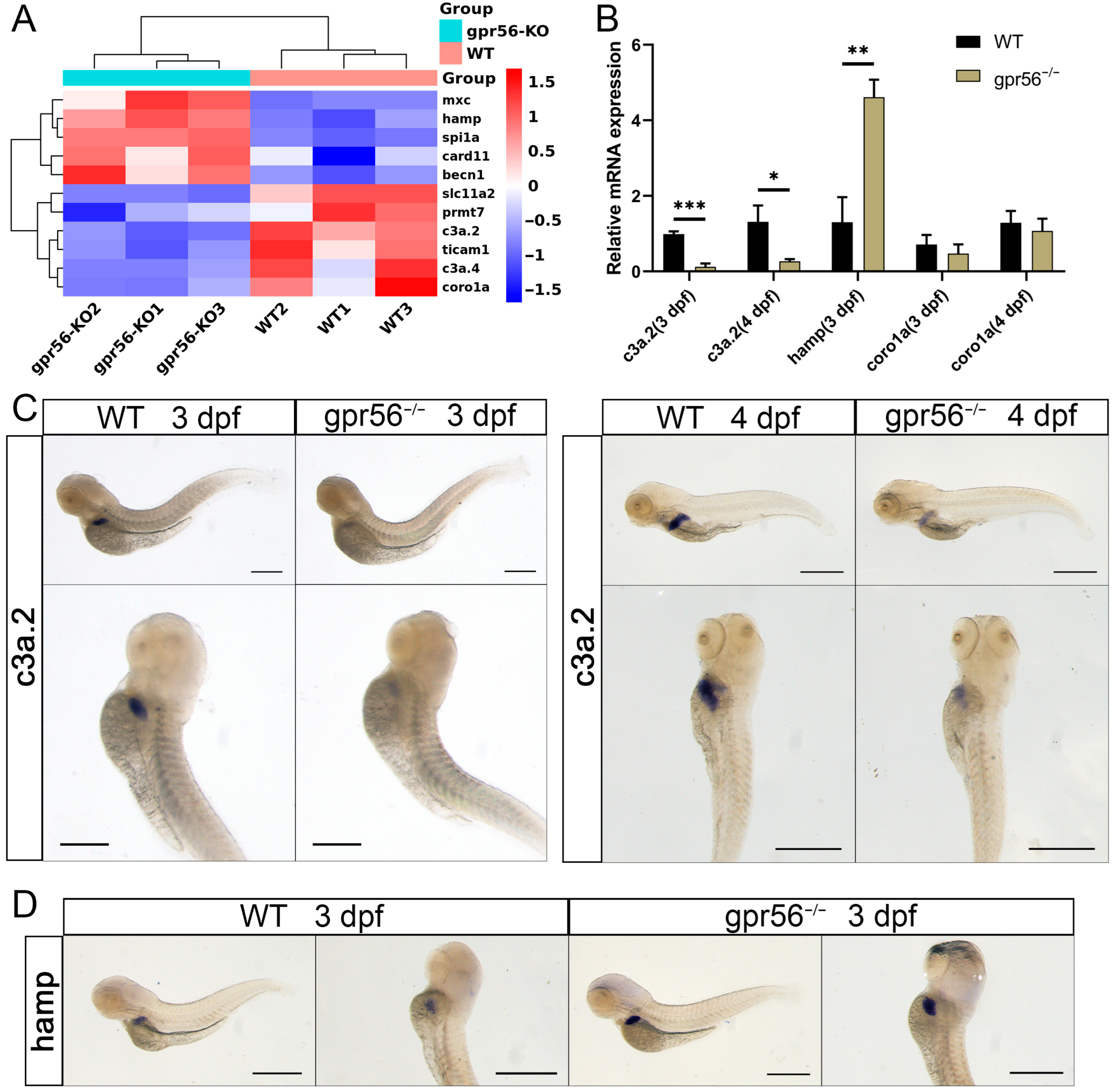 Ijms 24 07740 g003 Ijms 24 07740 g003