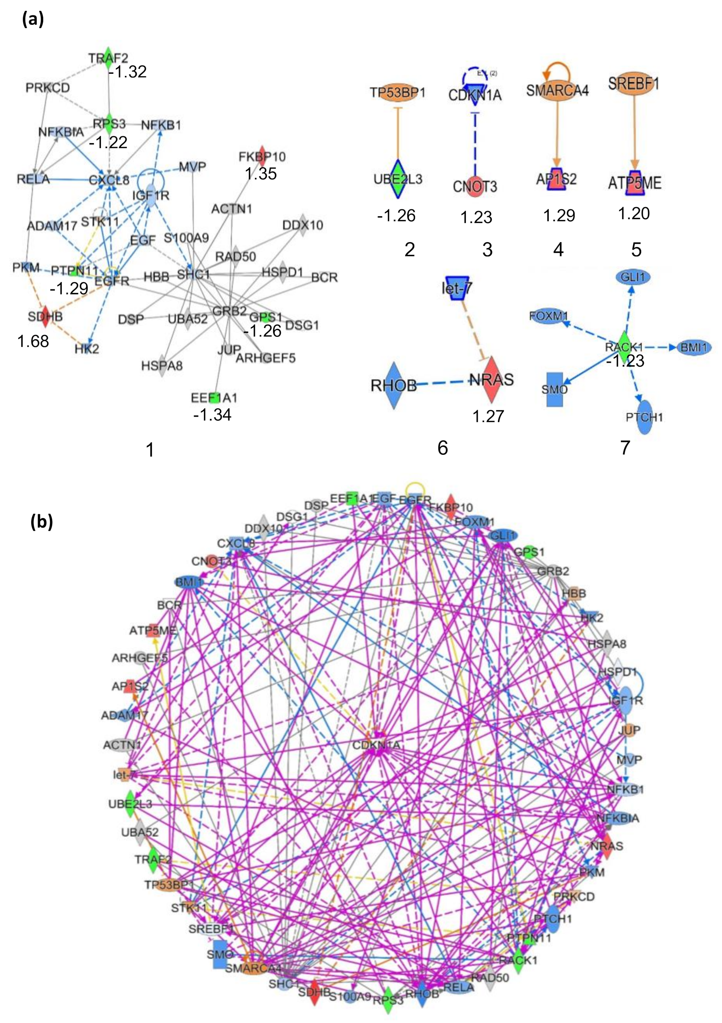 Ijms 24 07756 g007 Ijms 24 07756 g007