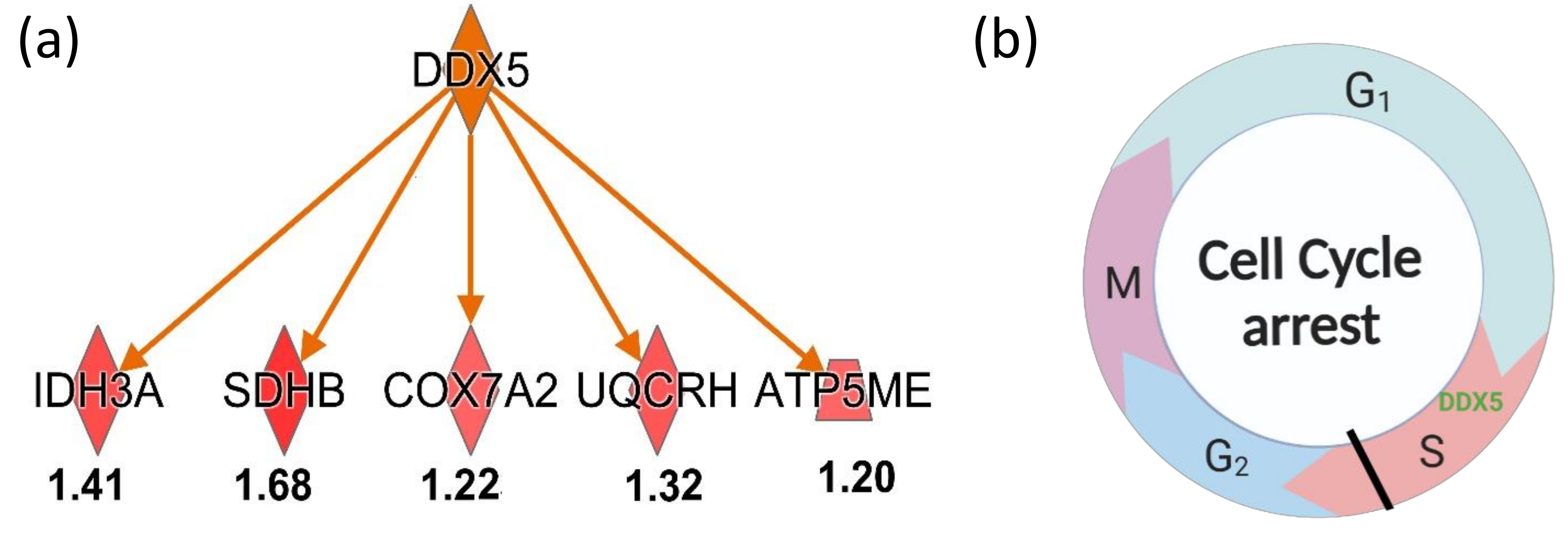 Ijms 24 07756 g008 Ijms 24 07756 g008