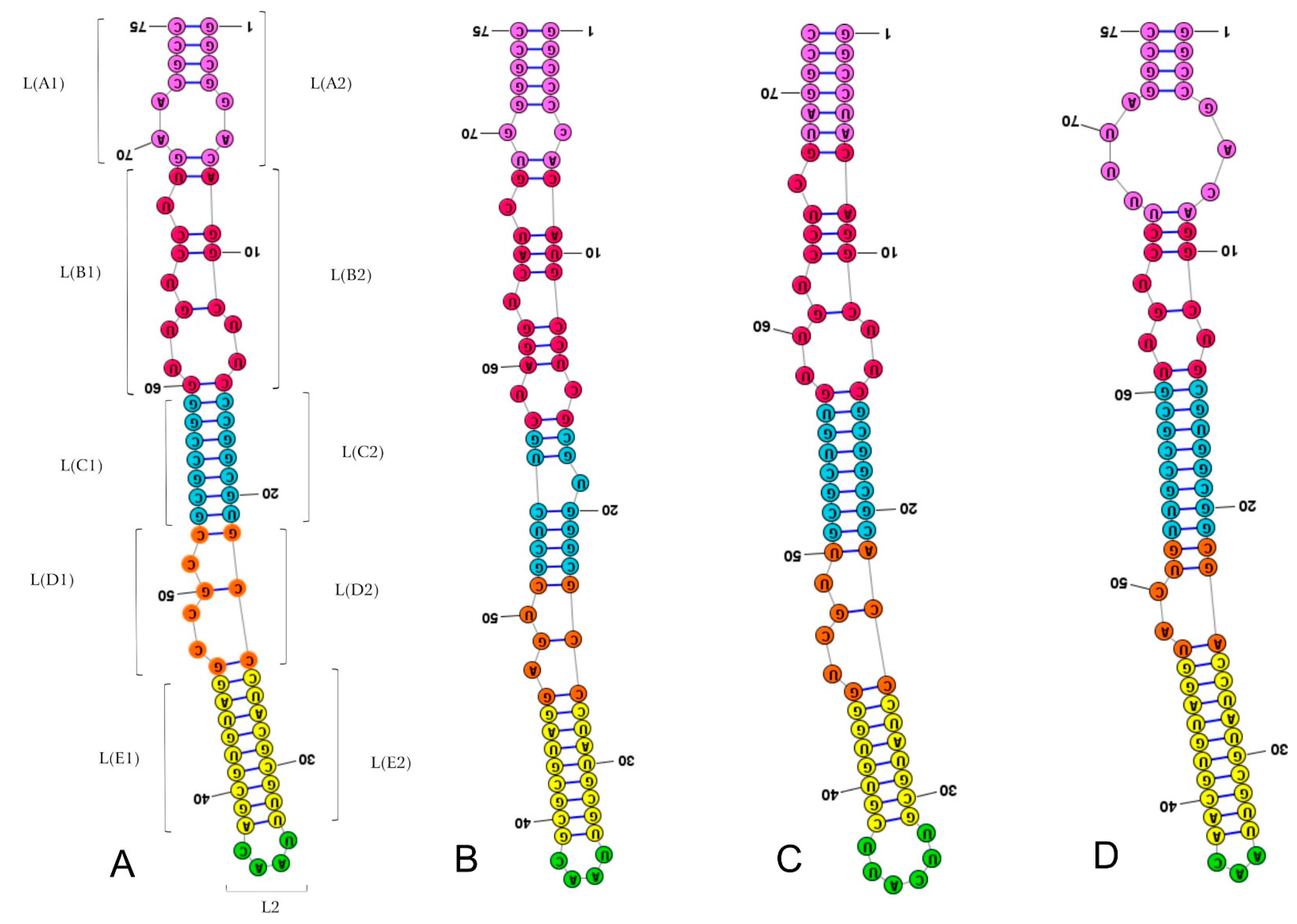 Ijms 24 07758 g002 Ijms 24 07758 g002