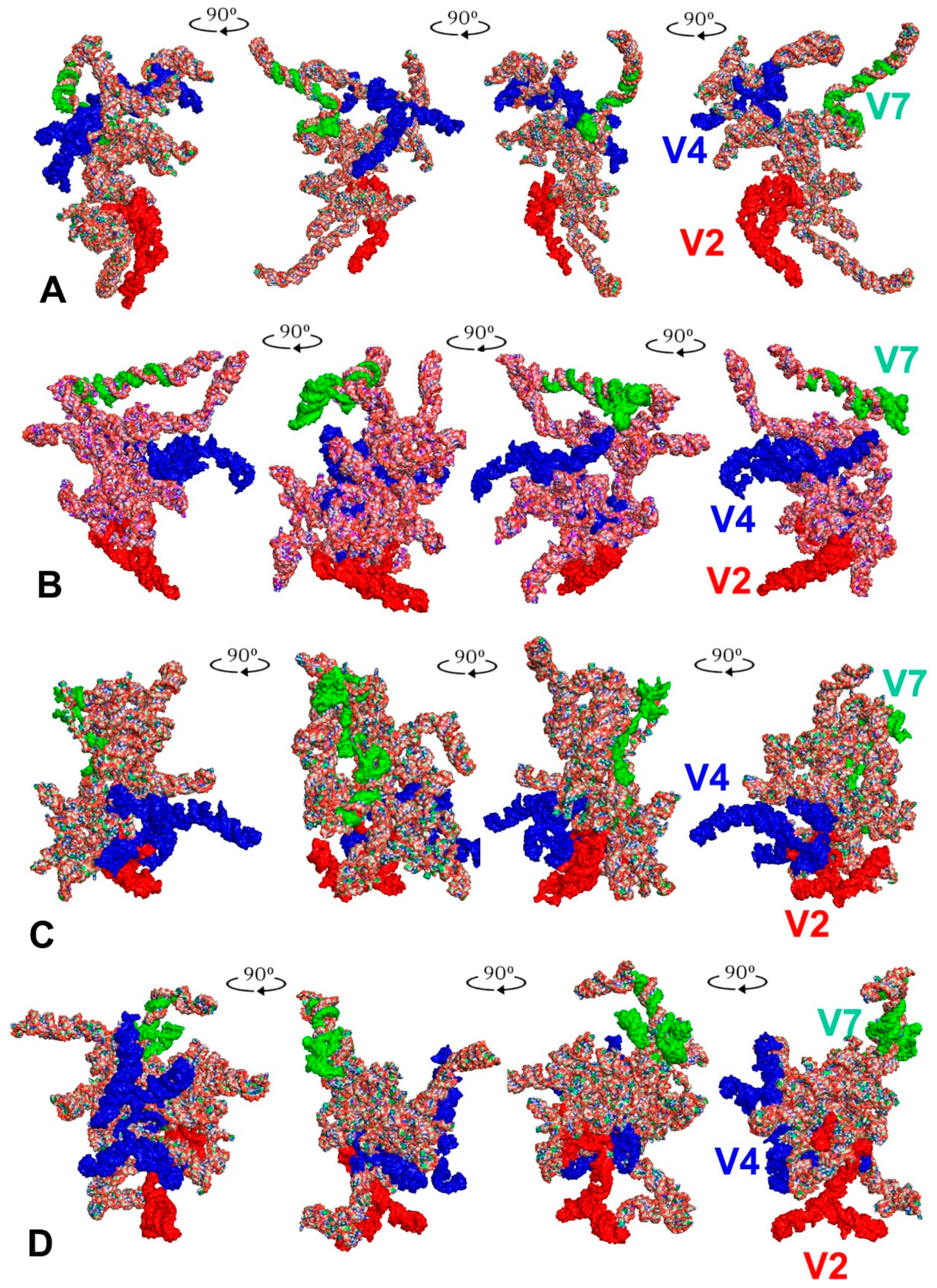 Ijms 24 07758 g003 Ijms 24 07758 g003
