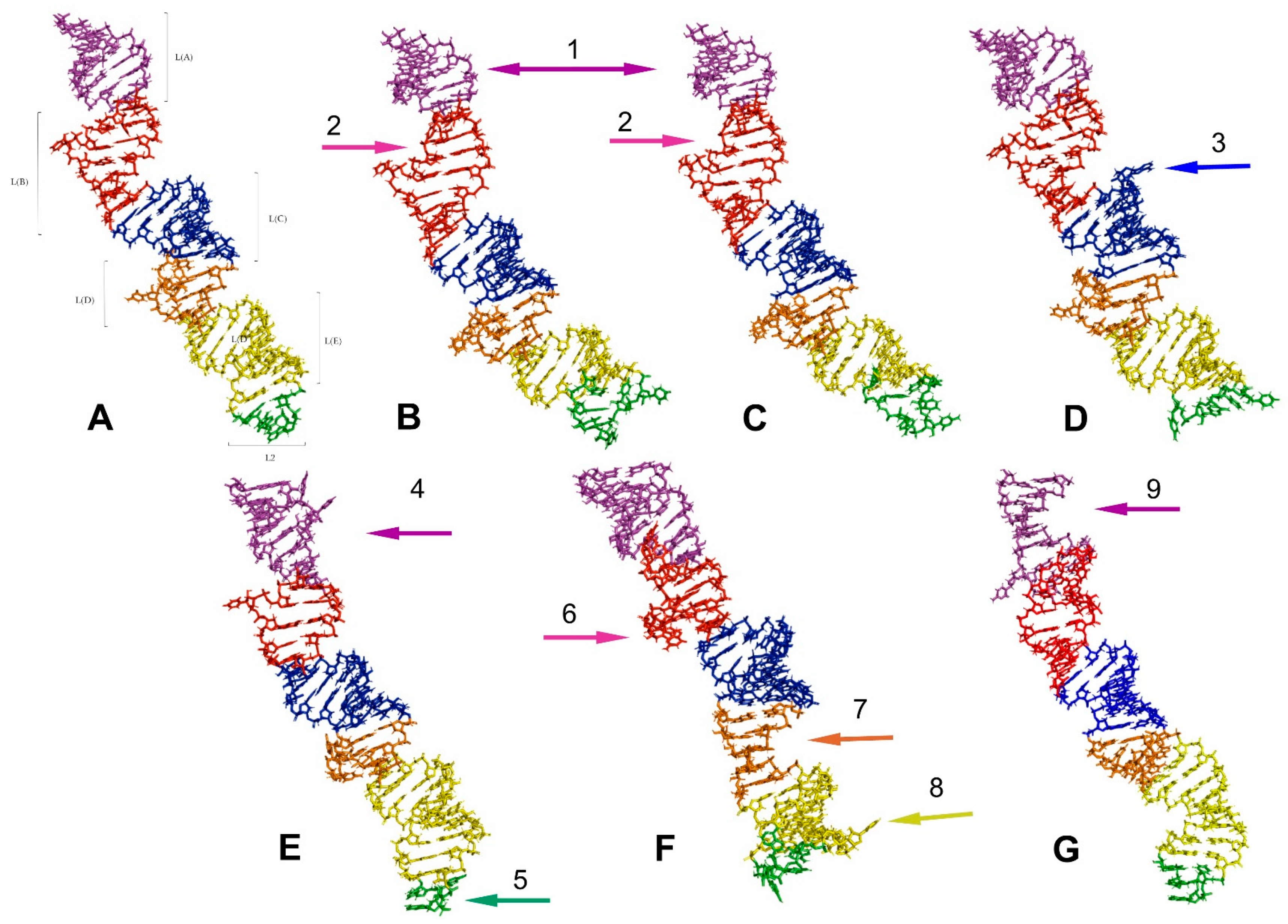 Ijms 24 07758 g010 Ijms 24 07758 g010