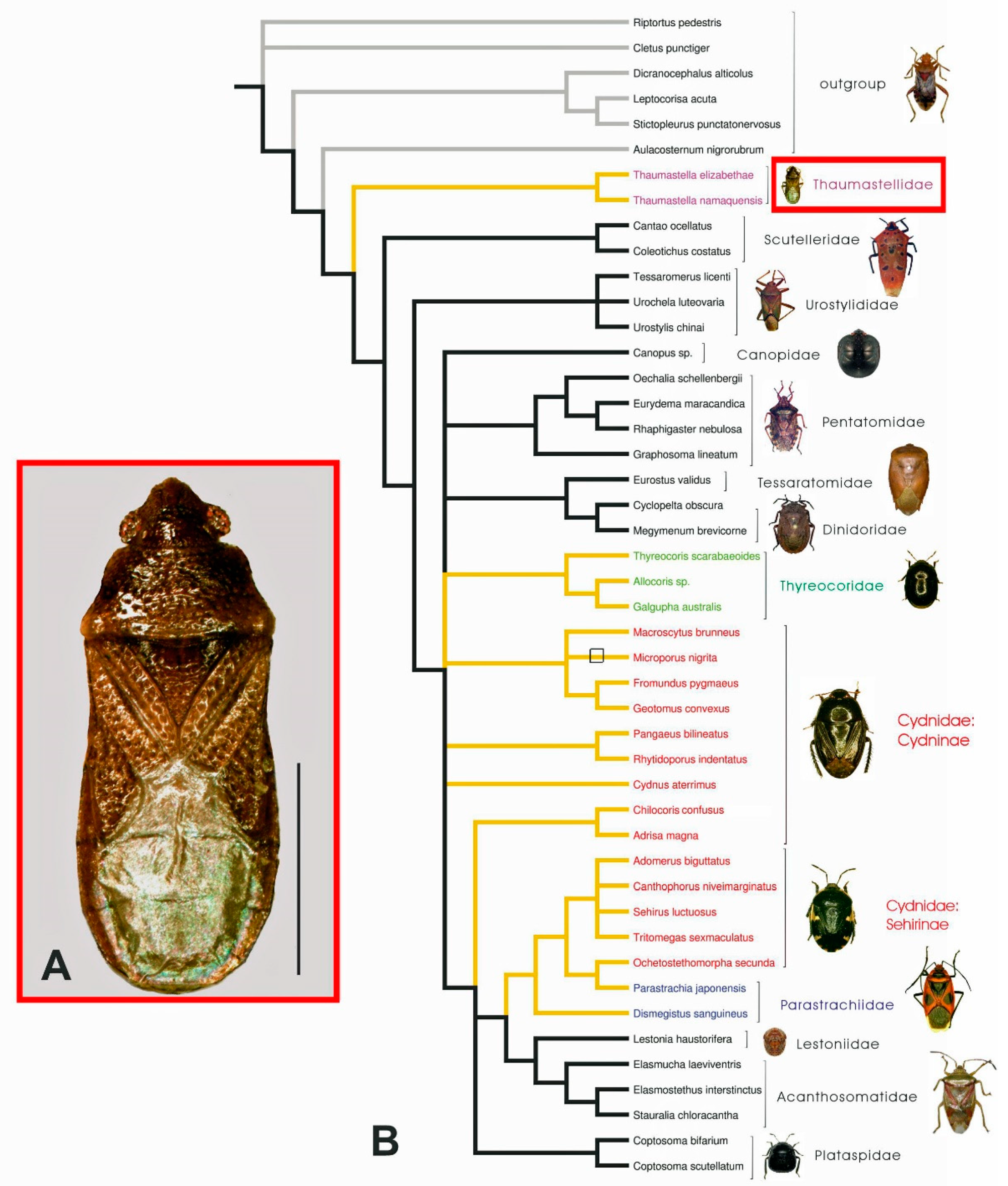 Ijms 24 07758 g0a1 Ijms 24 07758 g0a1