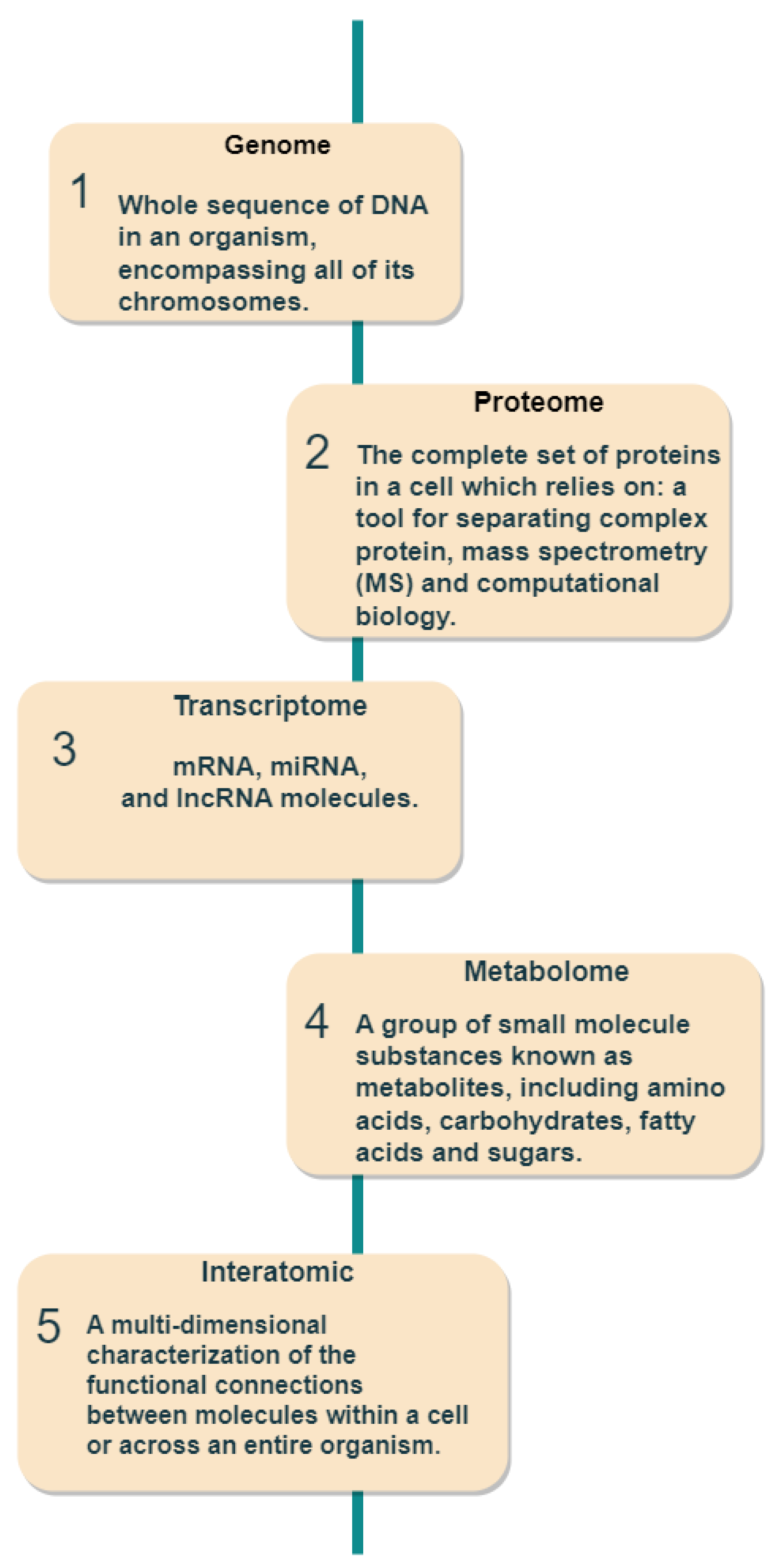 Ijms 24 07781 g004 Ijms 24 07781 g004
