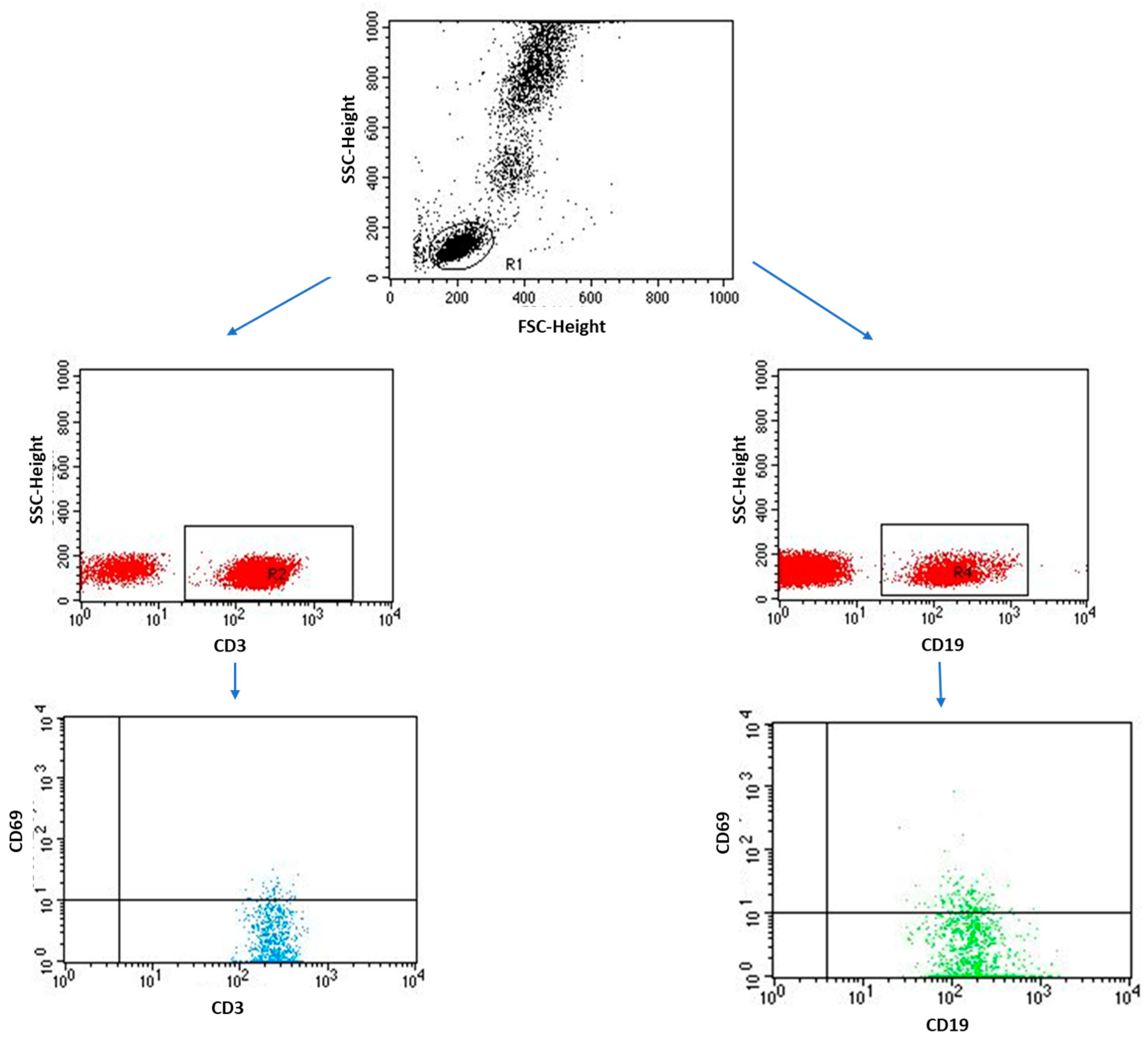 IJMS | Free Full-Text | Possible Correlation between Urocortin 1 (Ucn1 ...