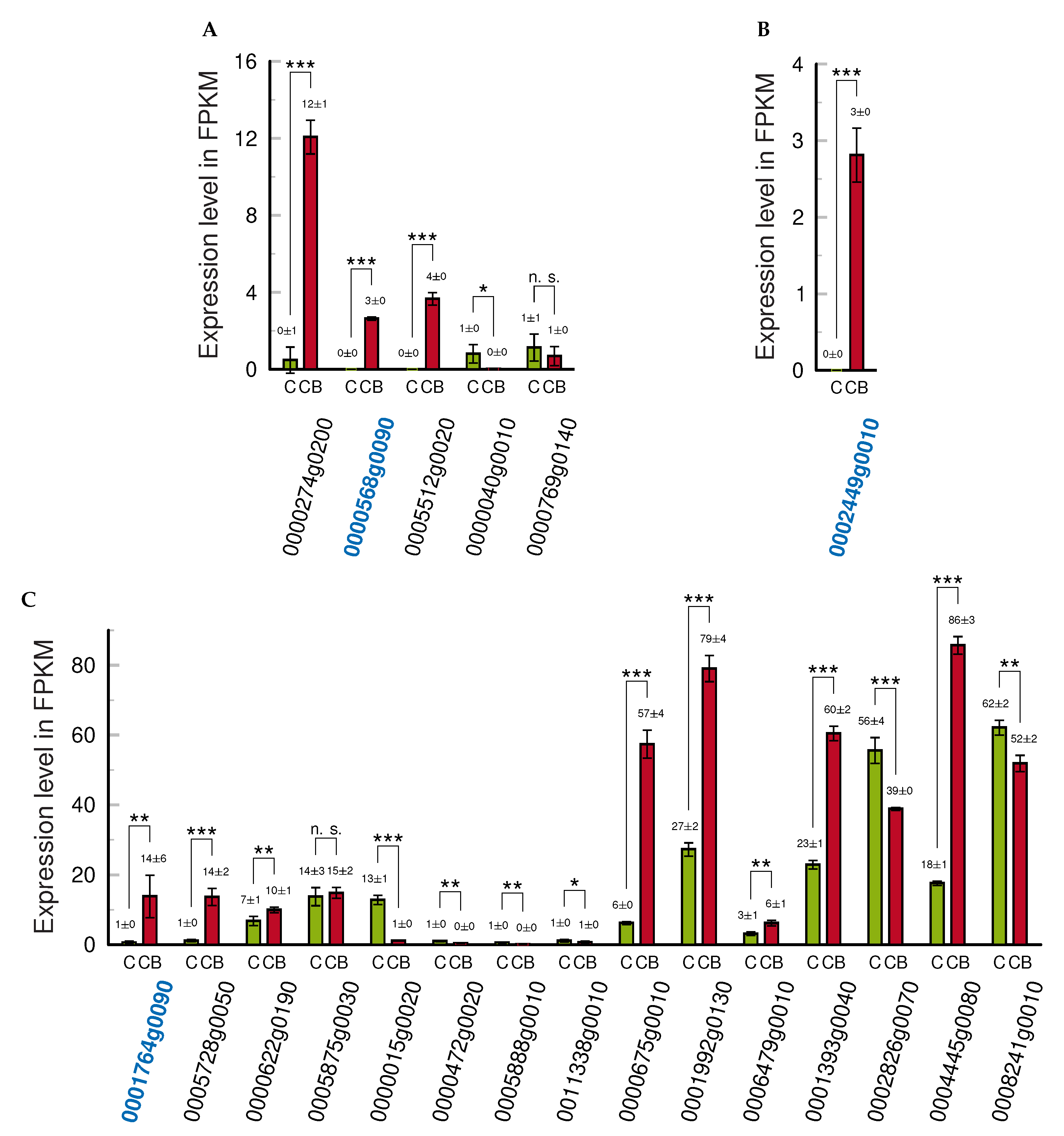 Ijms 24 07790 g005 Ijms 24 07790 g005