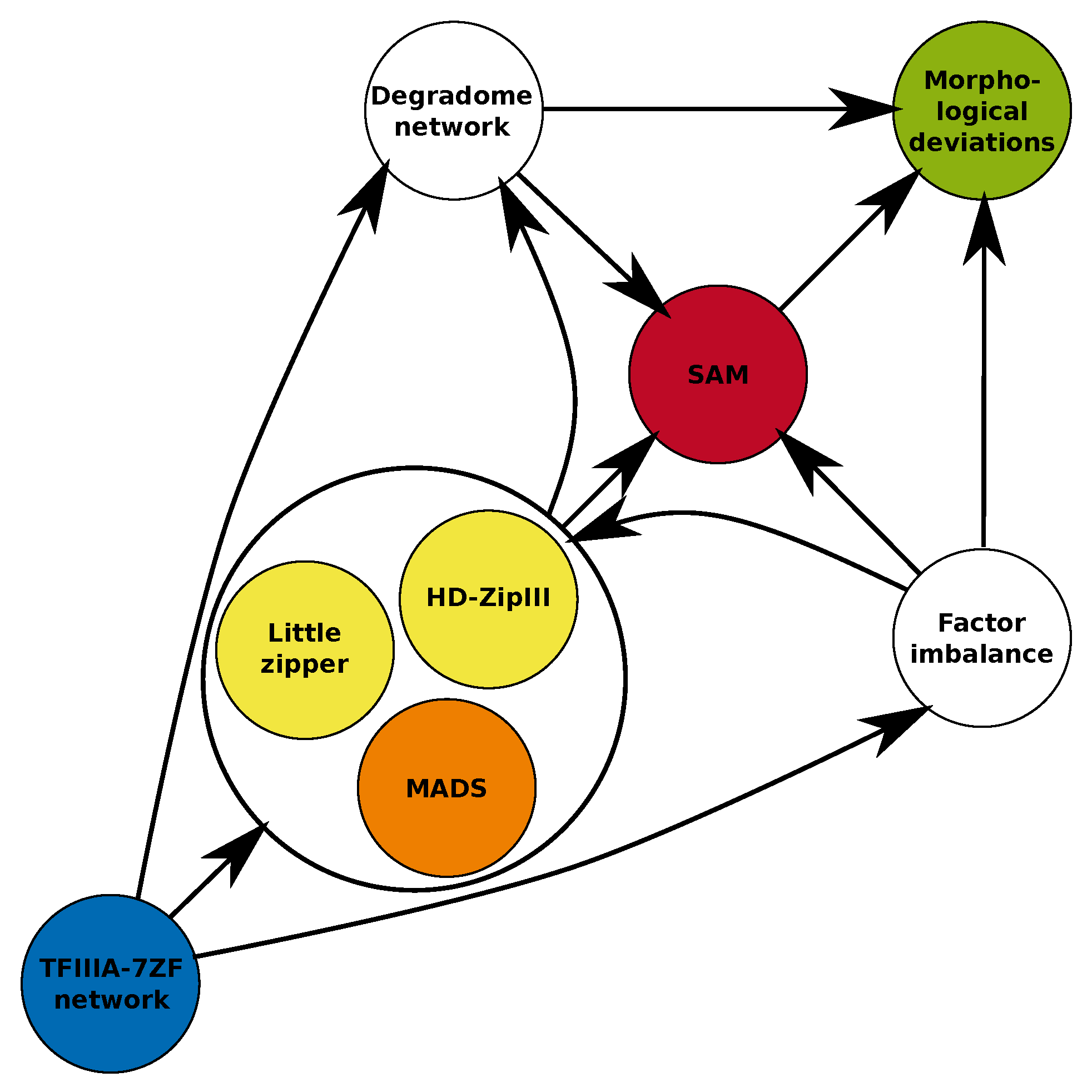 Ijms 24 07790 g007 Ijms 24 07790 g007