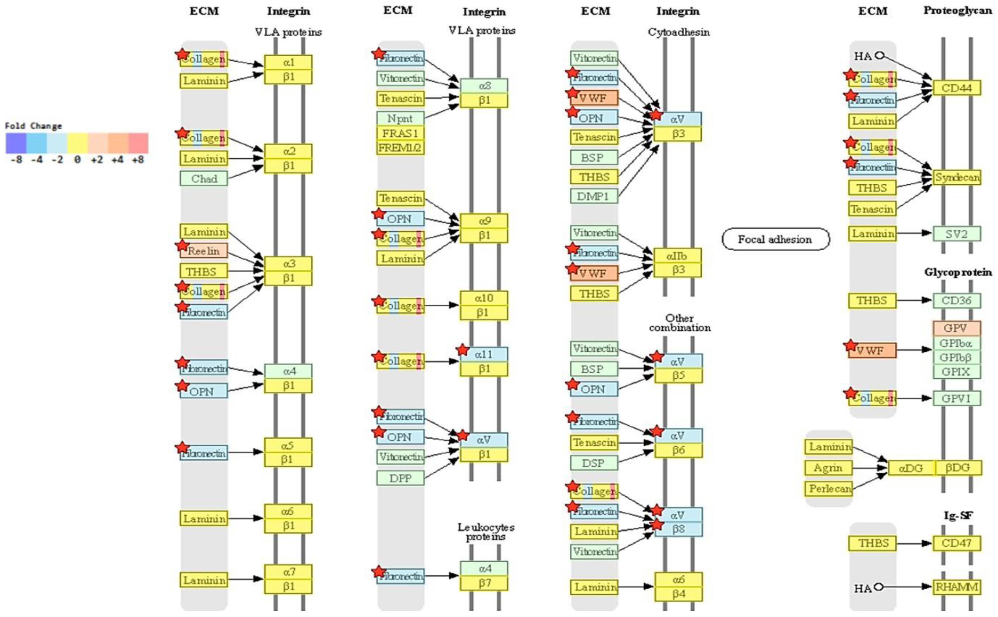 Ijms 24 07792 g006 Ijms 24 07792 g006