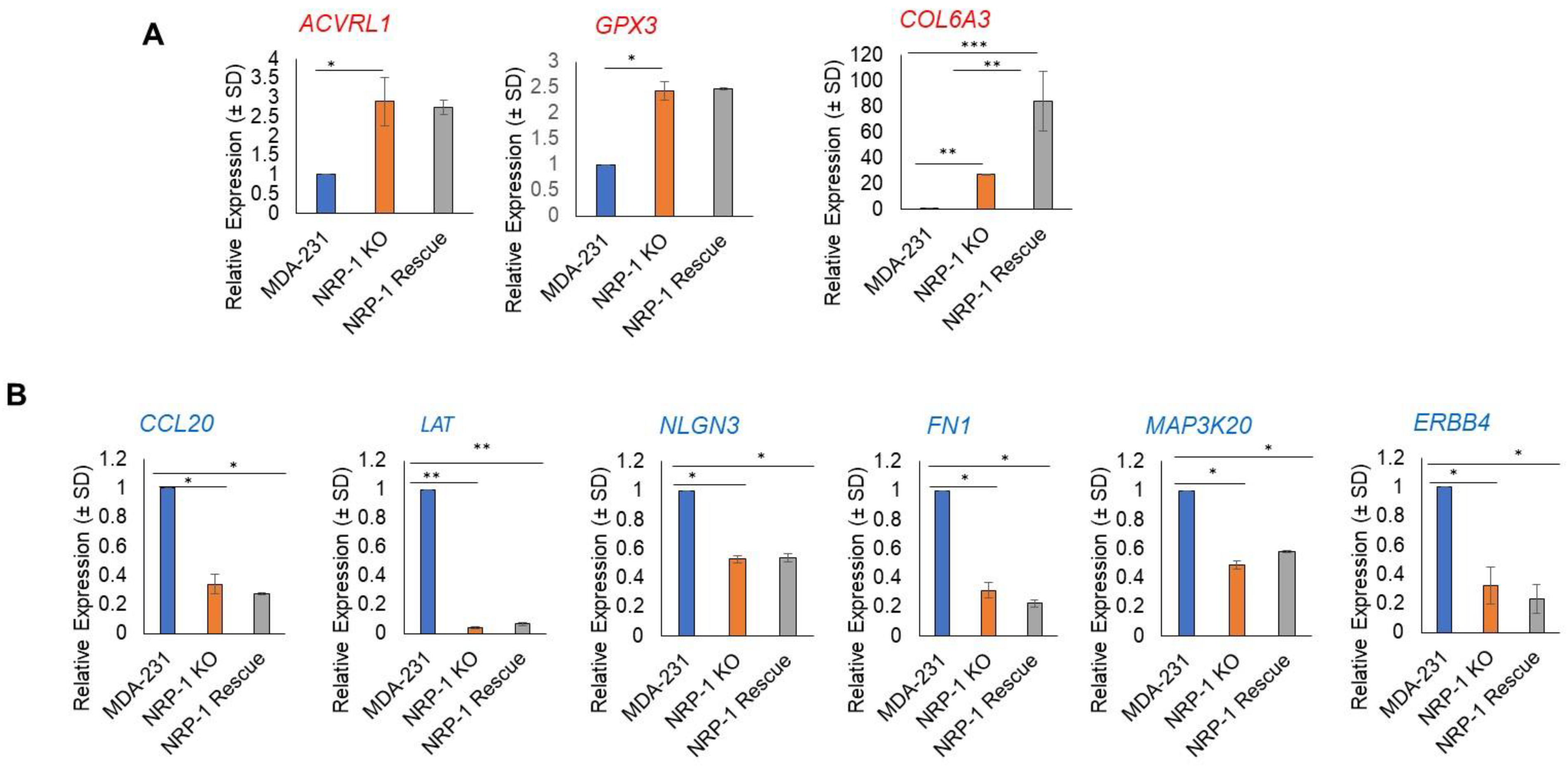 Ijms 24 07792 g007 Ijms 24 07792 g007
