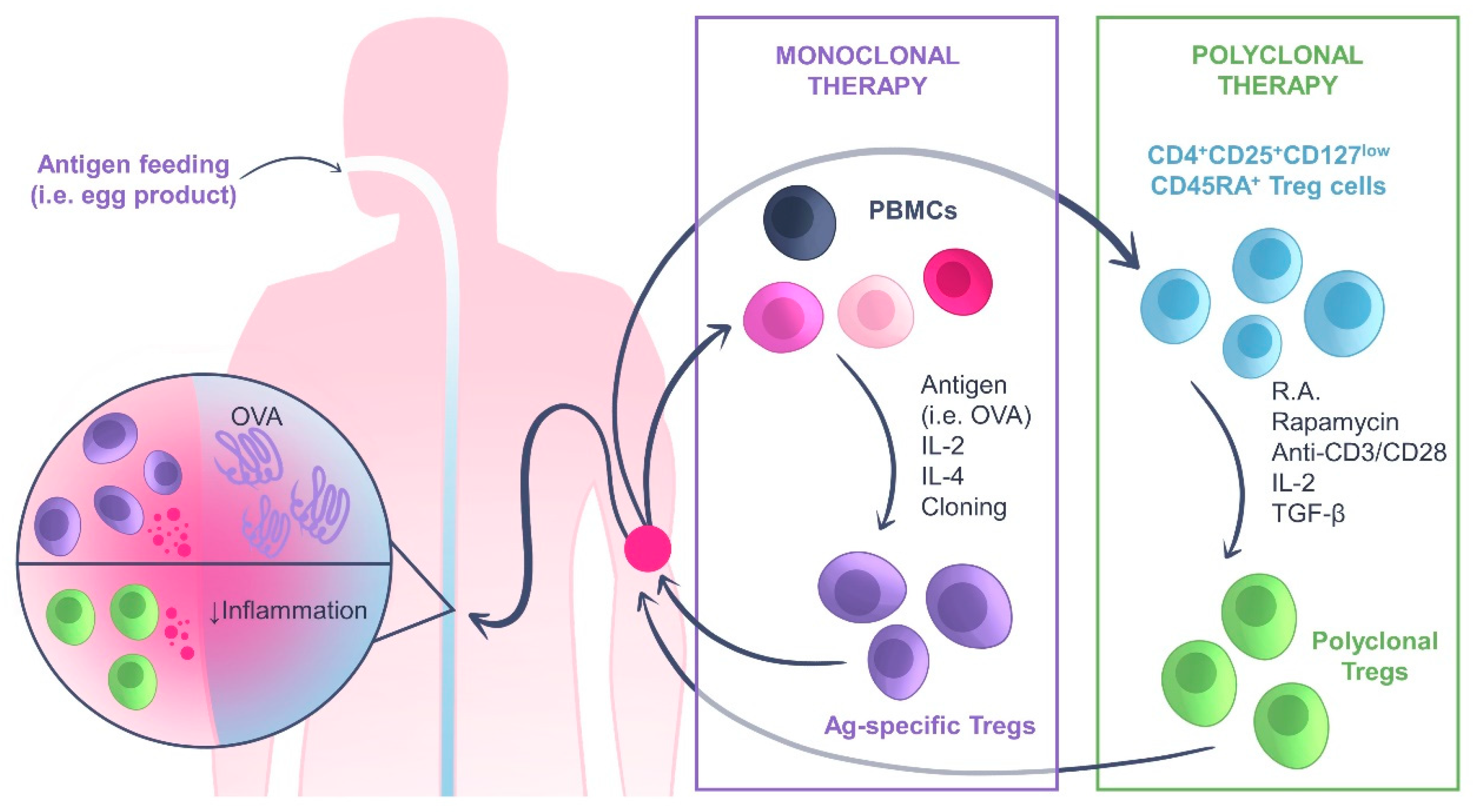 Ijms 24 07797 g003 Ijms 24 07797 g003