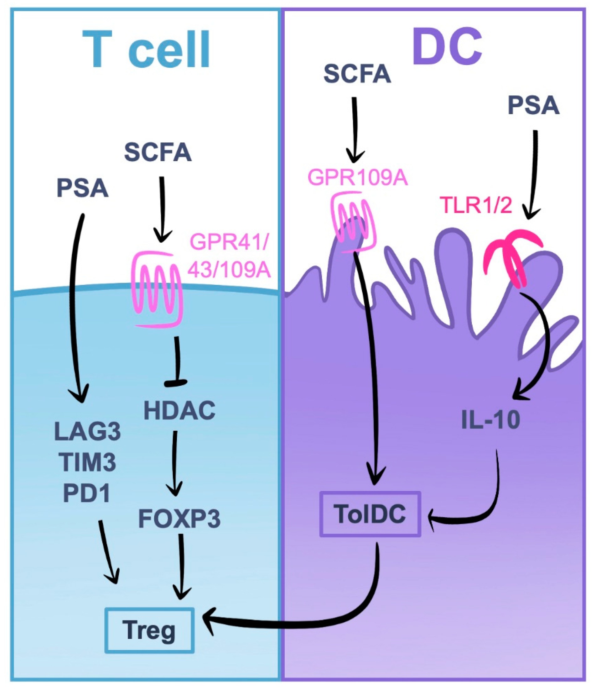 Ijms 24 07797 g004 Ijms 24 07797 g004