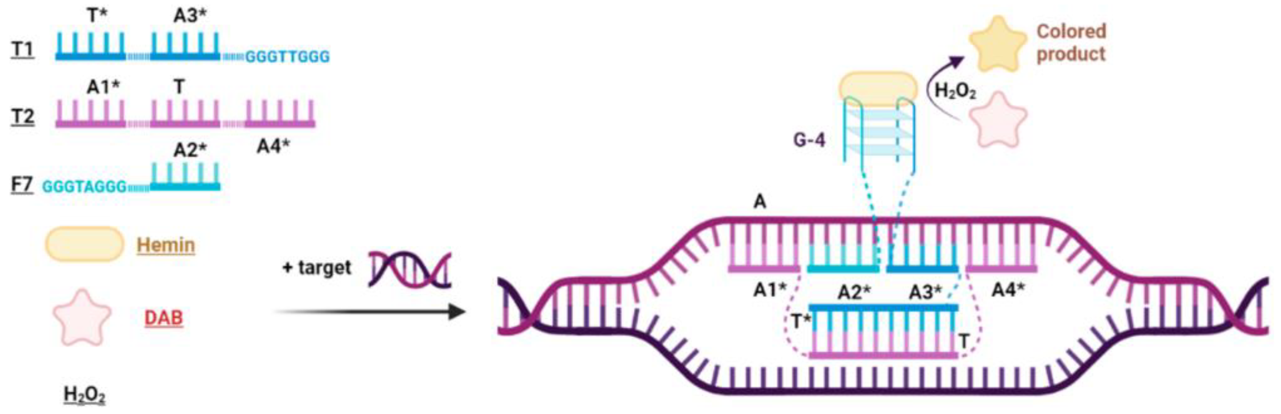 Ijms 24 07812 g001 Ijms 24 07812 g001
