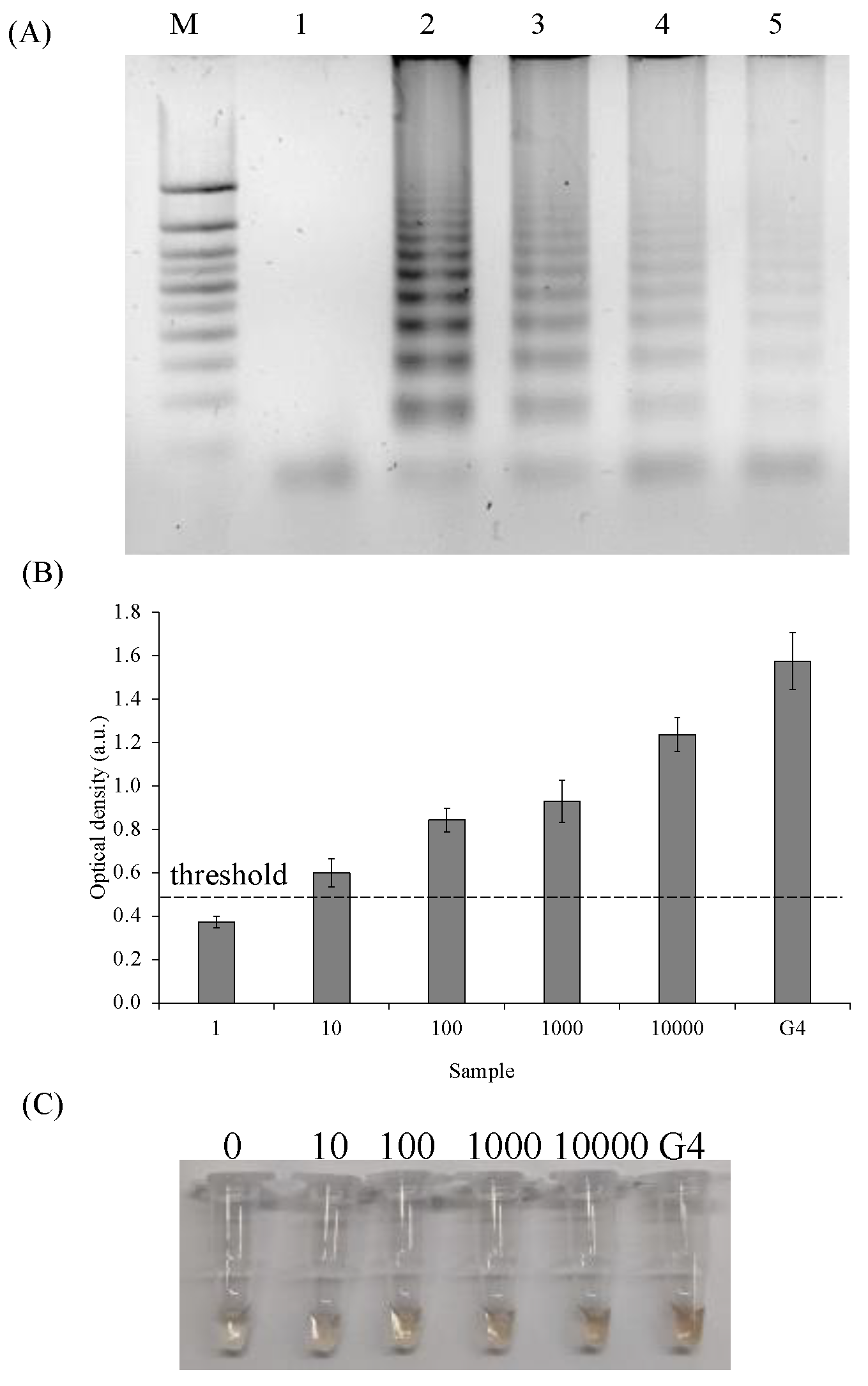 Ijms 24 07812 g005 Ijms 24 07812 g005