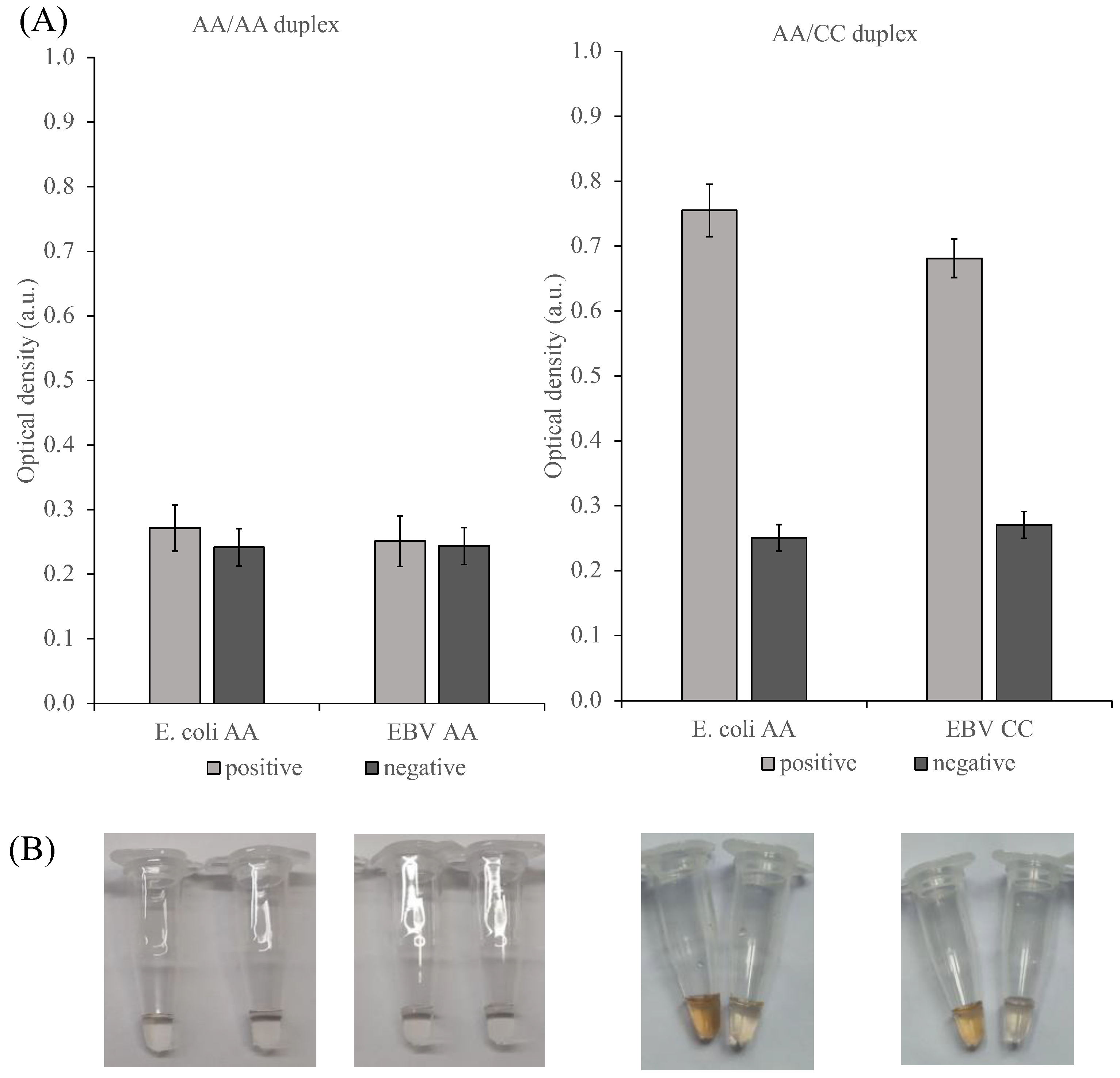 Ijms 24 07812 g010 Ijms 24 07812 g010