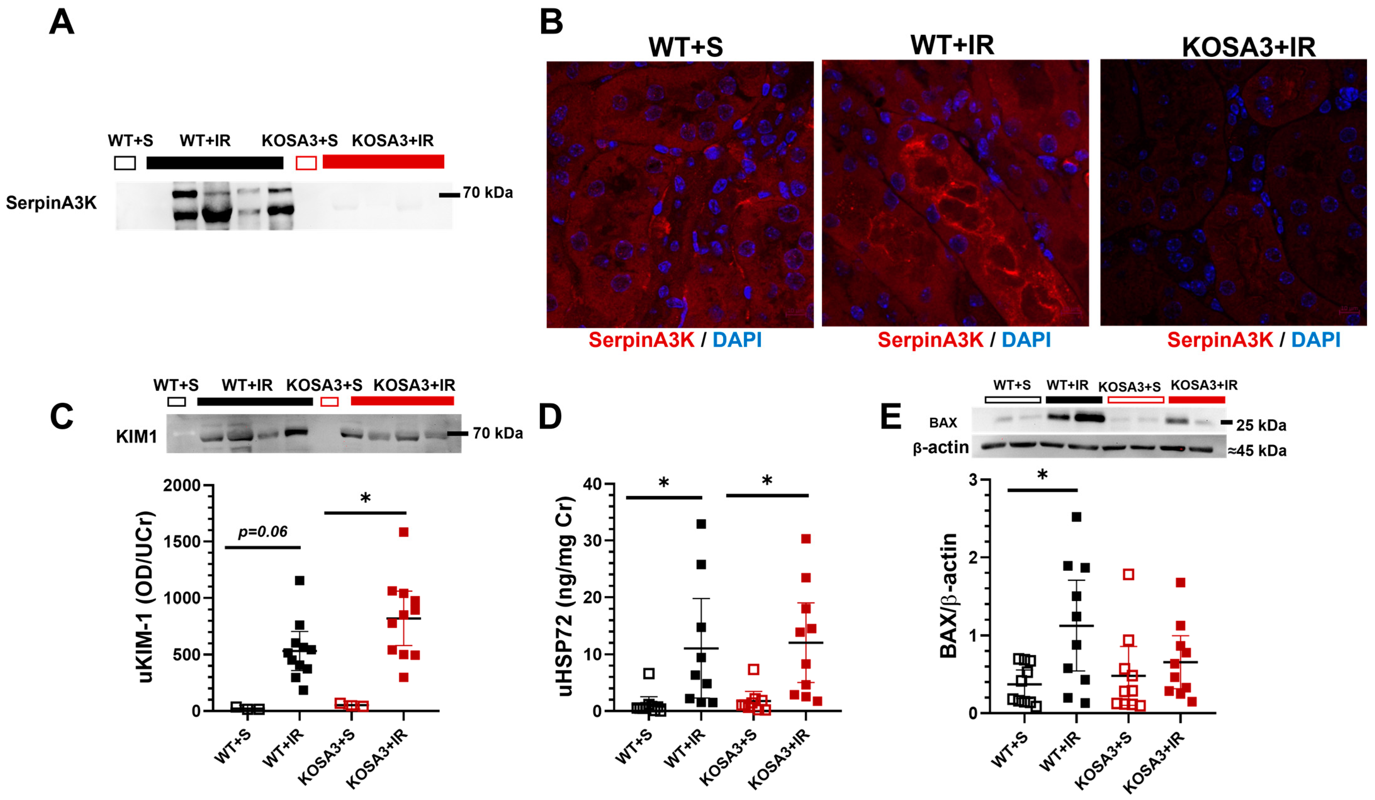 Ijms 24 07815 g004 Ijms 24 07815 g004