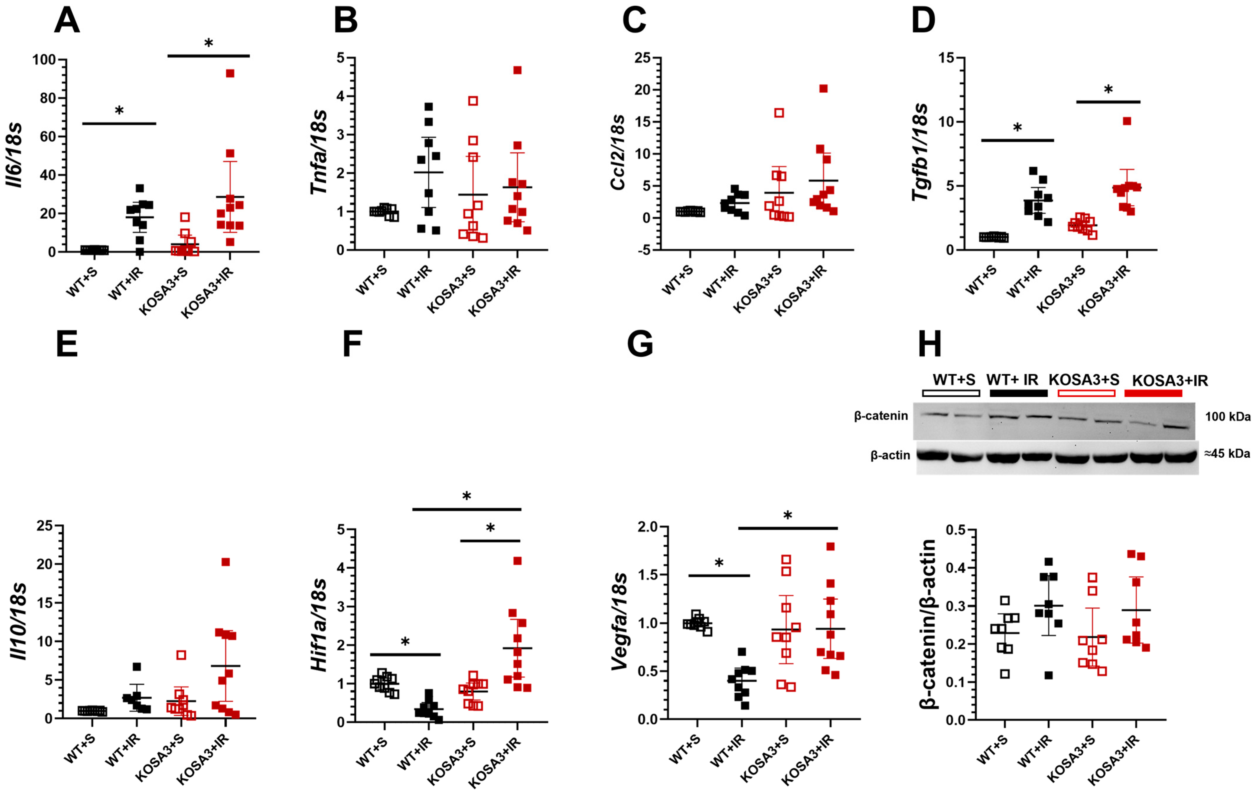 Ijms 24 07815 g005 Ijms 24 07815 g005