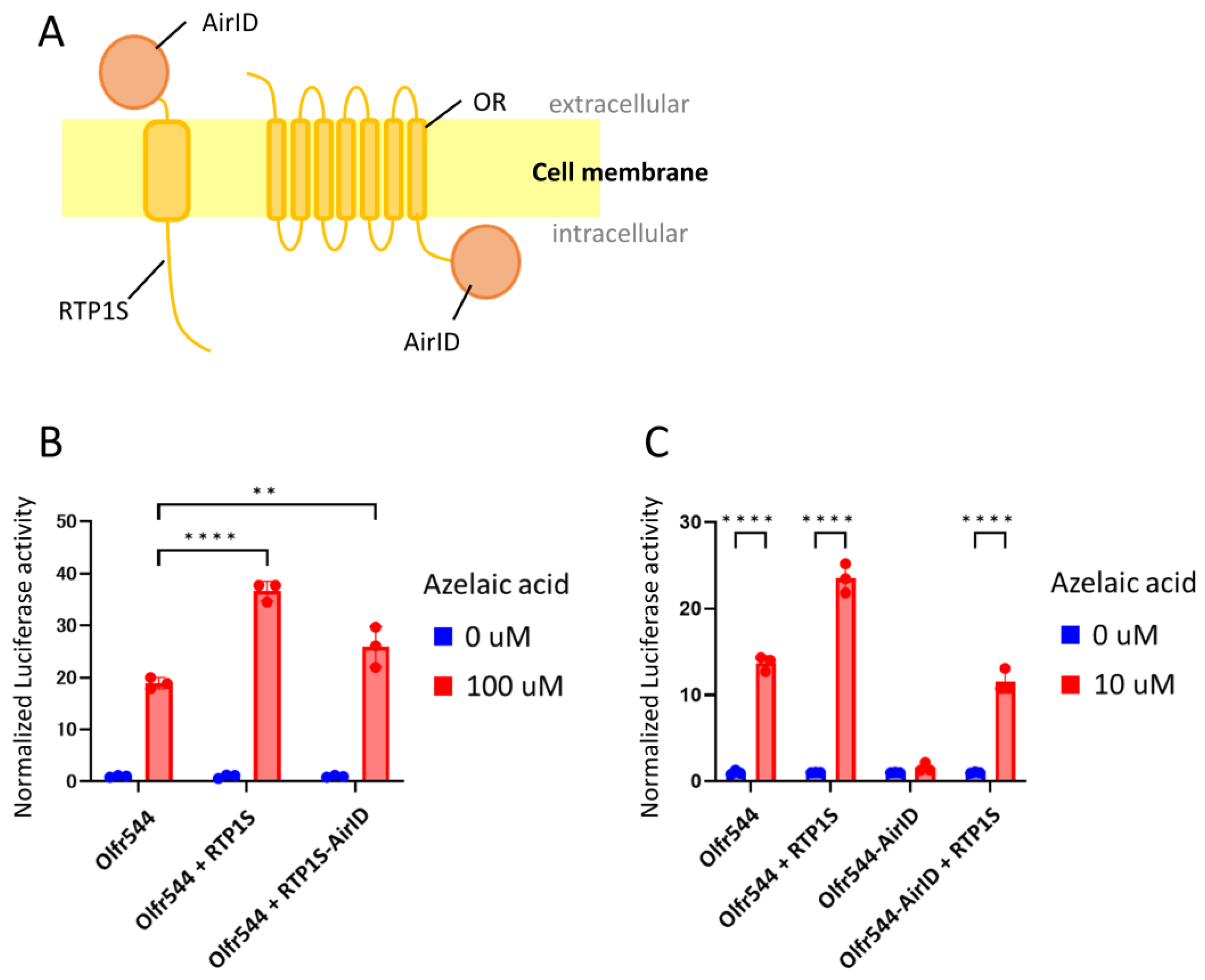 Ijms 24 07829 g001 Ijms 24 07829 g001